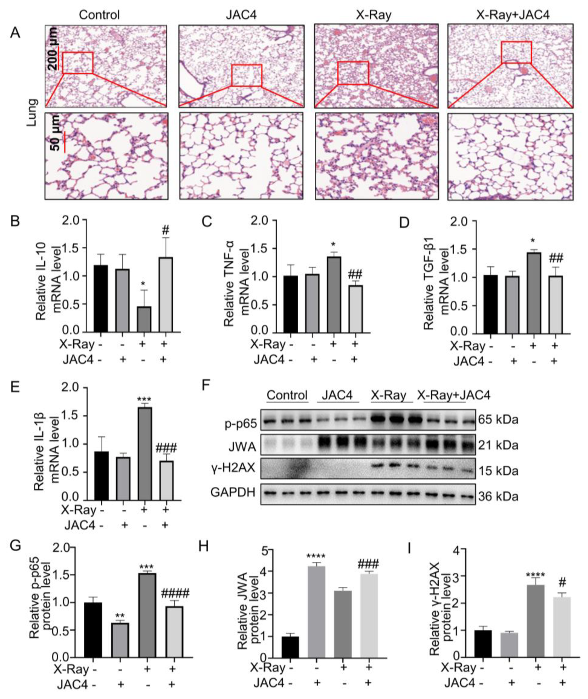 Preprints 75744 g007