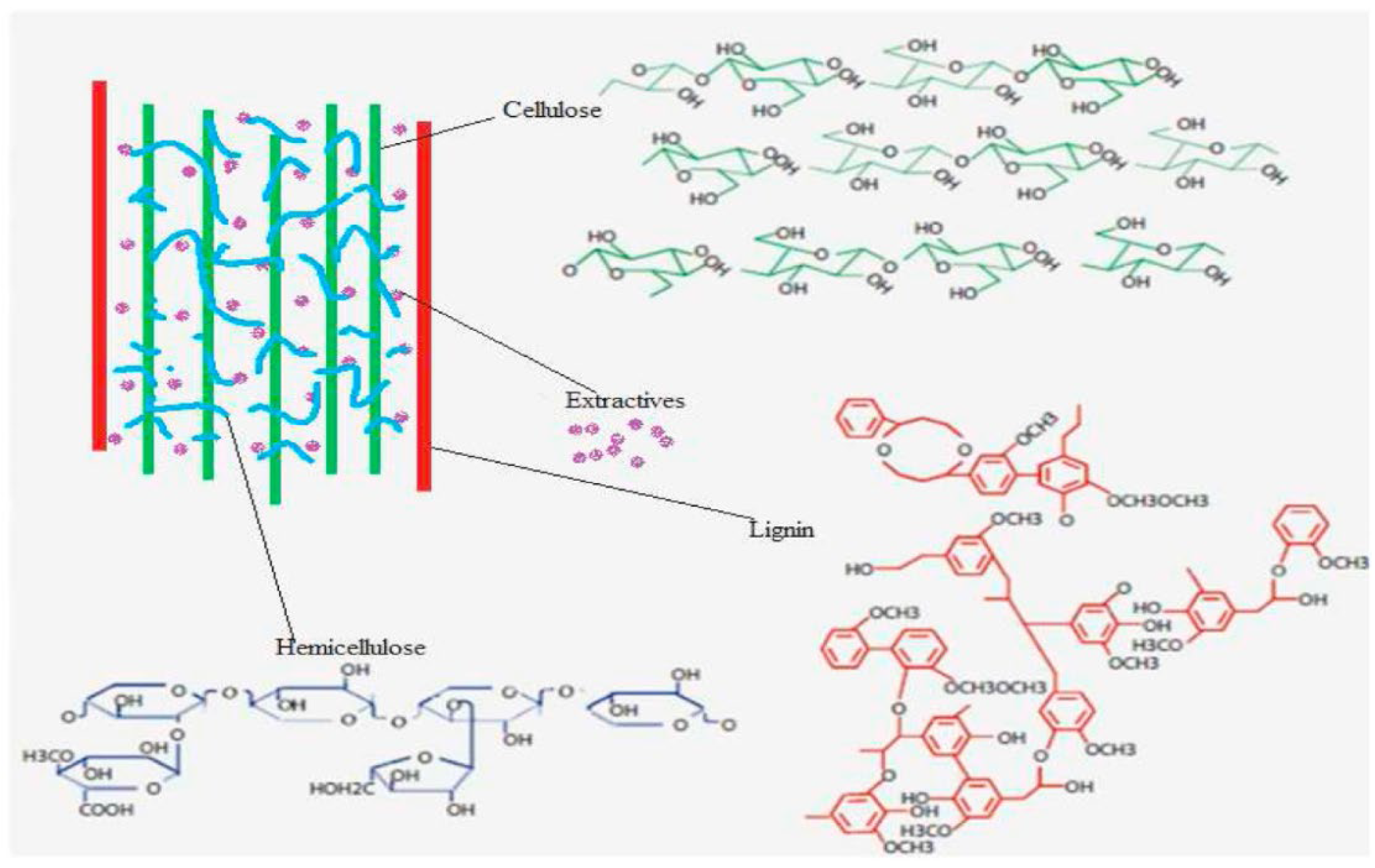 Preprints 115907 g001