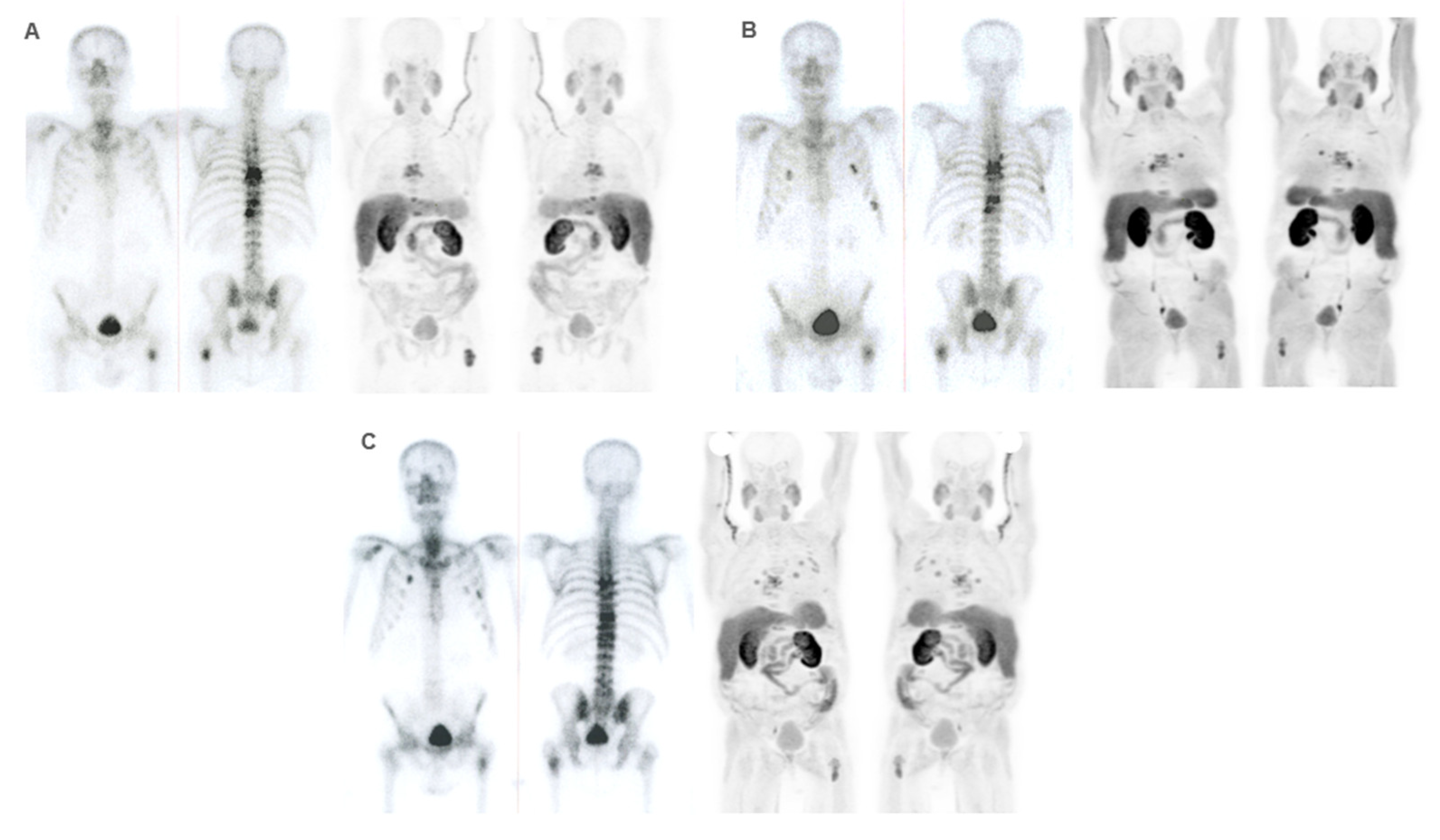 Preprints 111277 g008