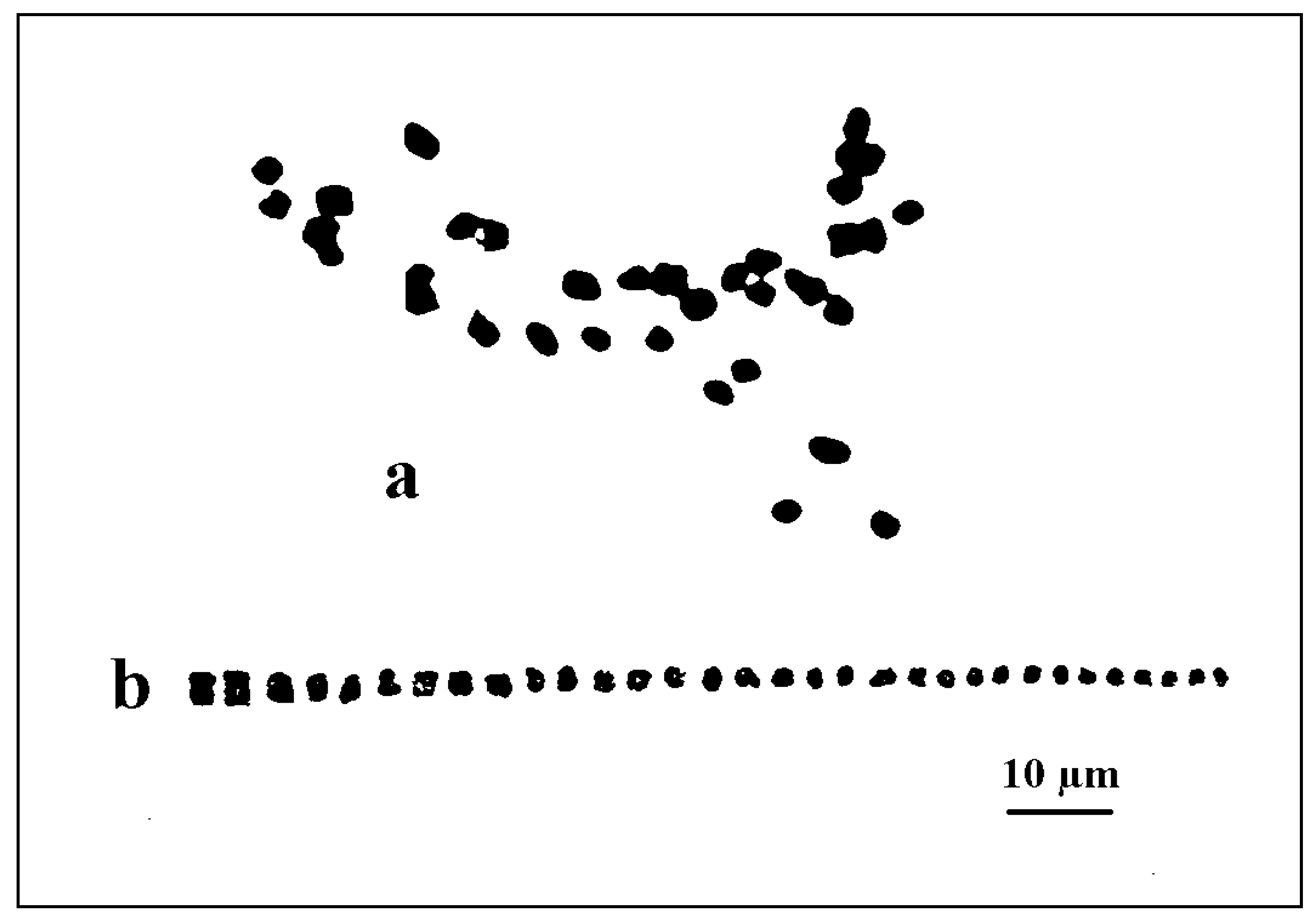 Preprints 114056 g003