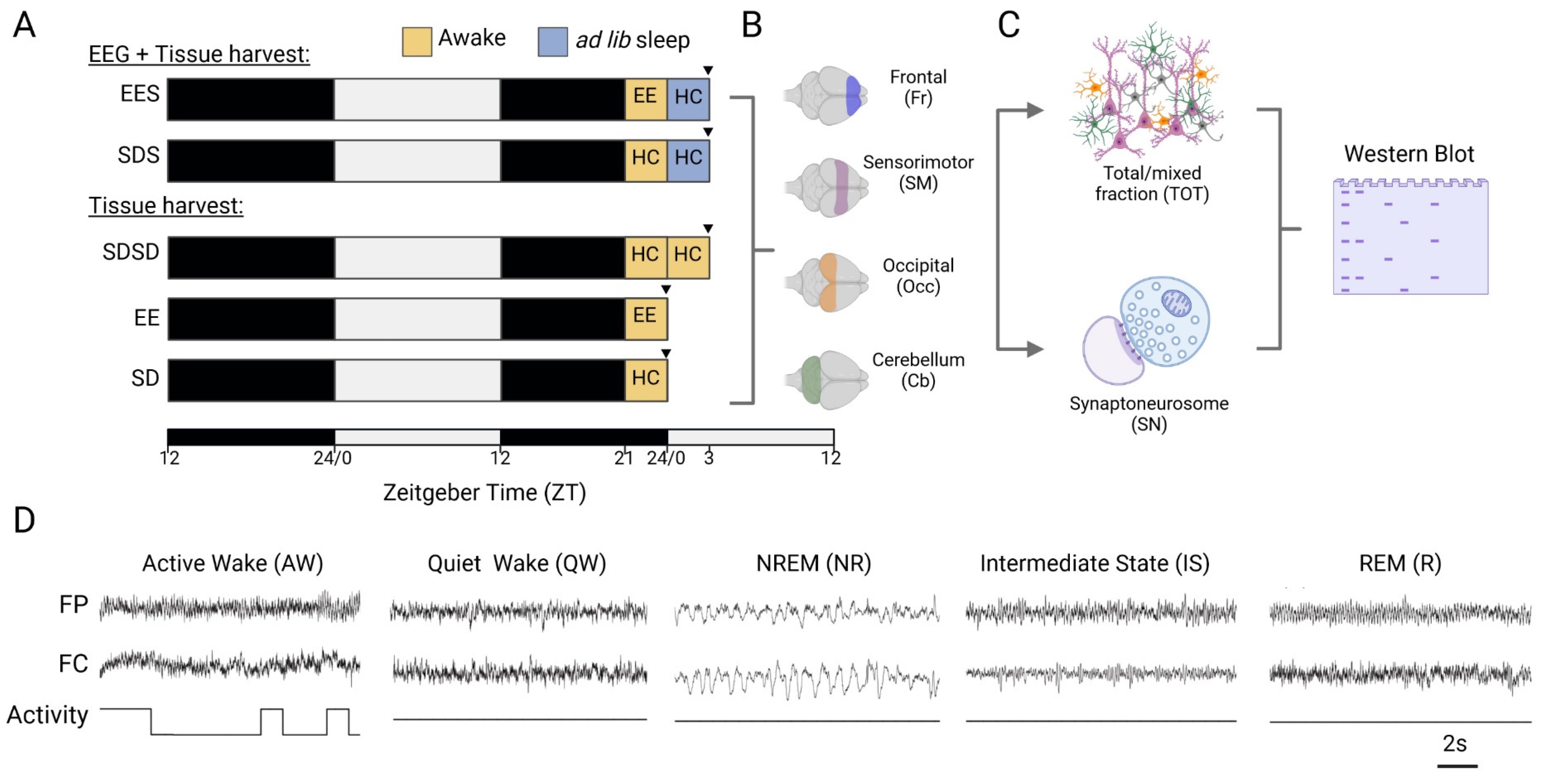 Preprints 81142 g001