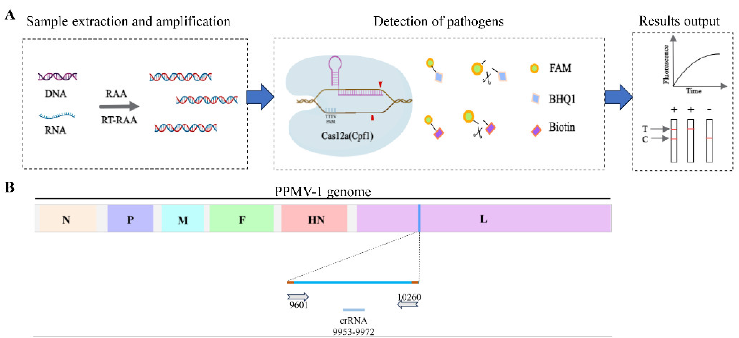 Preprints 116421 g001