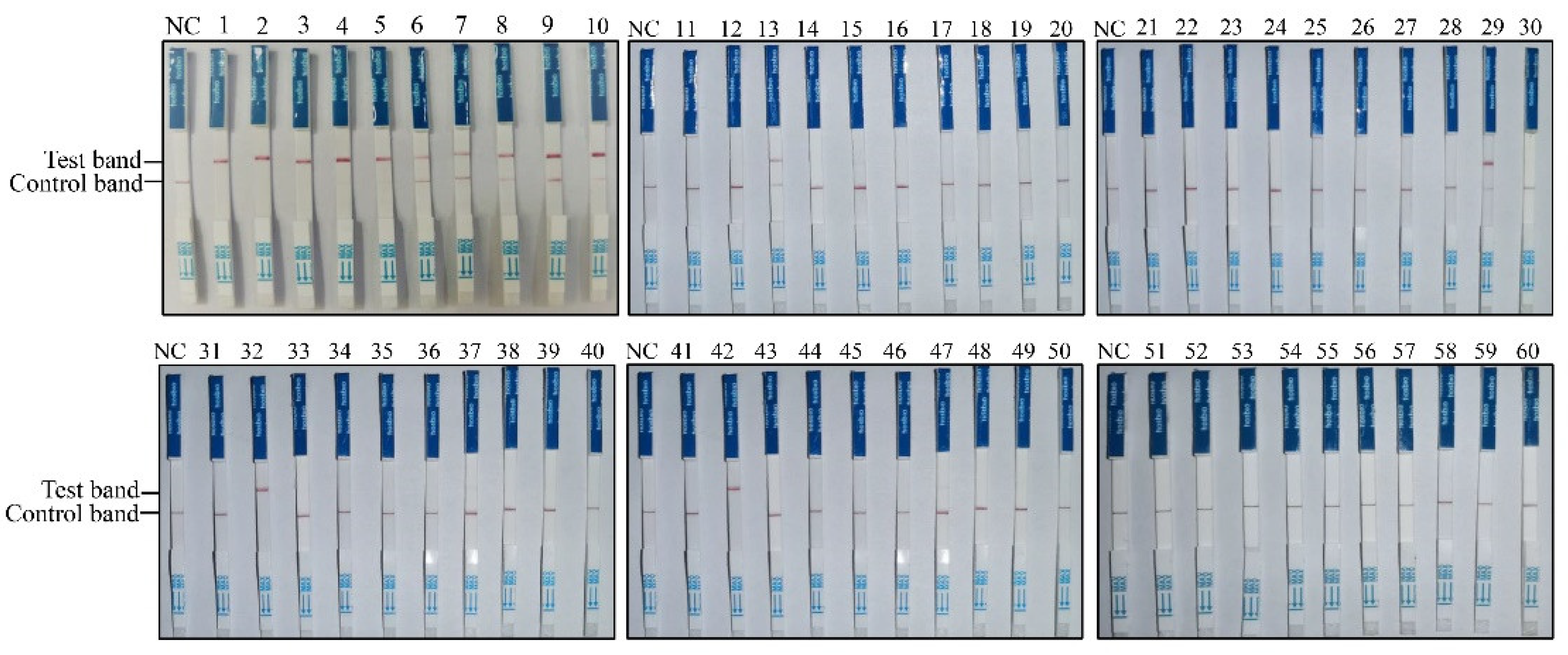 Preprints 116421 g004