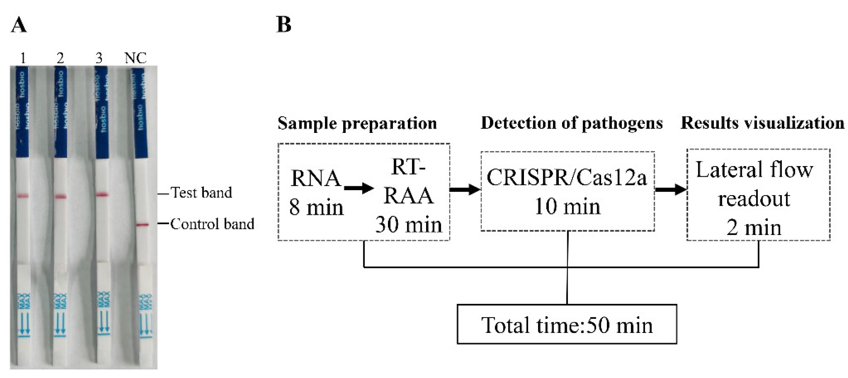 Preprints 116421 g005