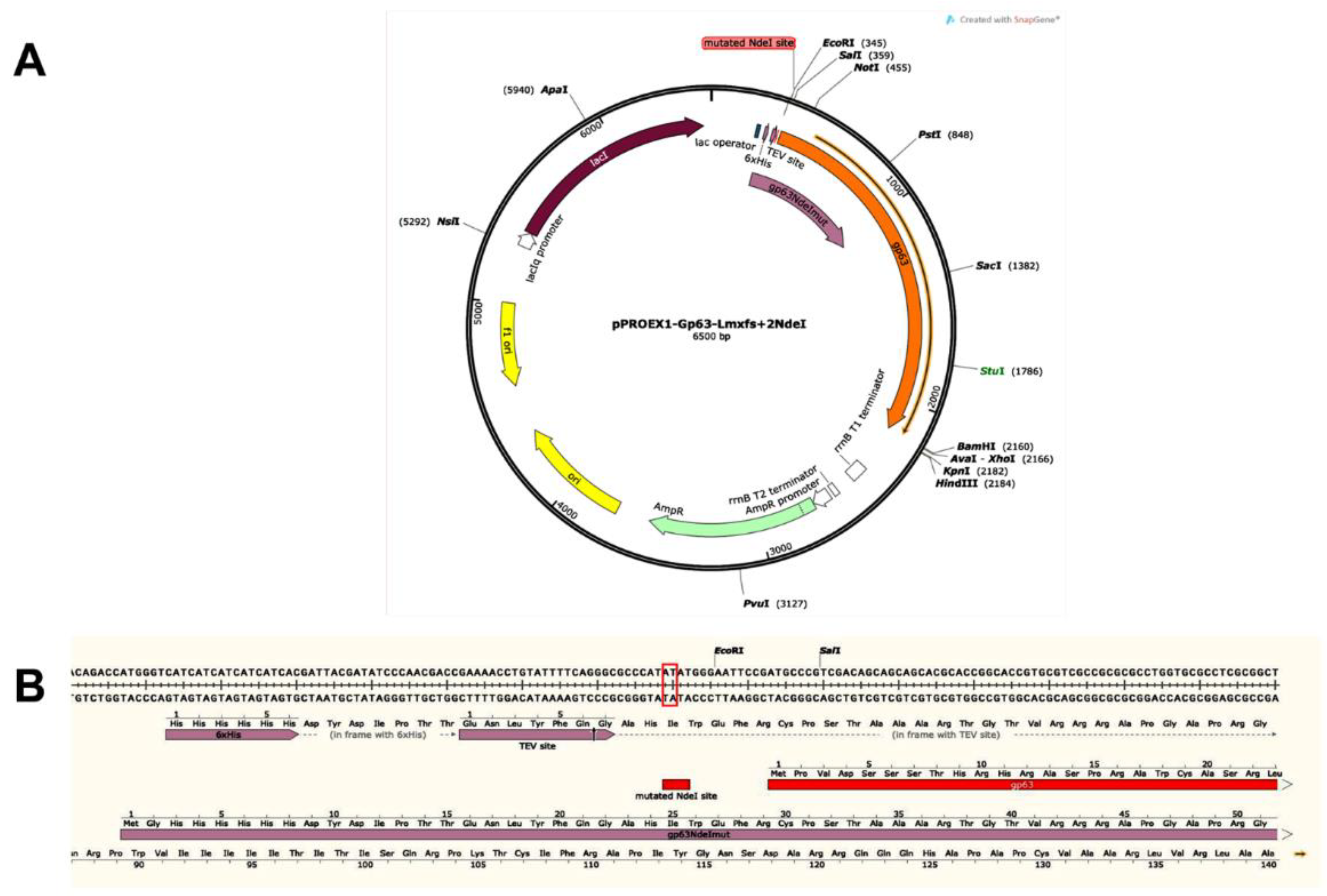 Preprints 113581 g001a