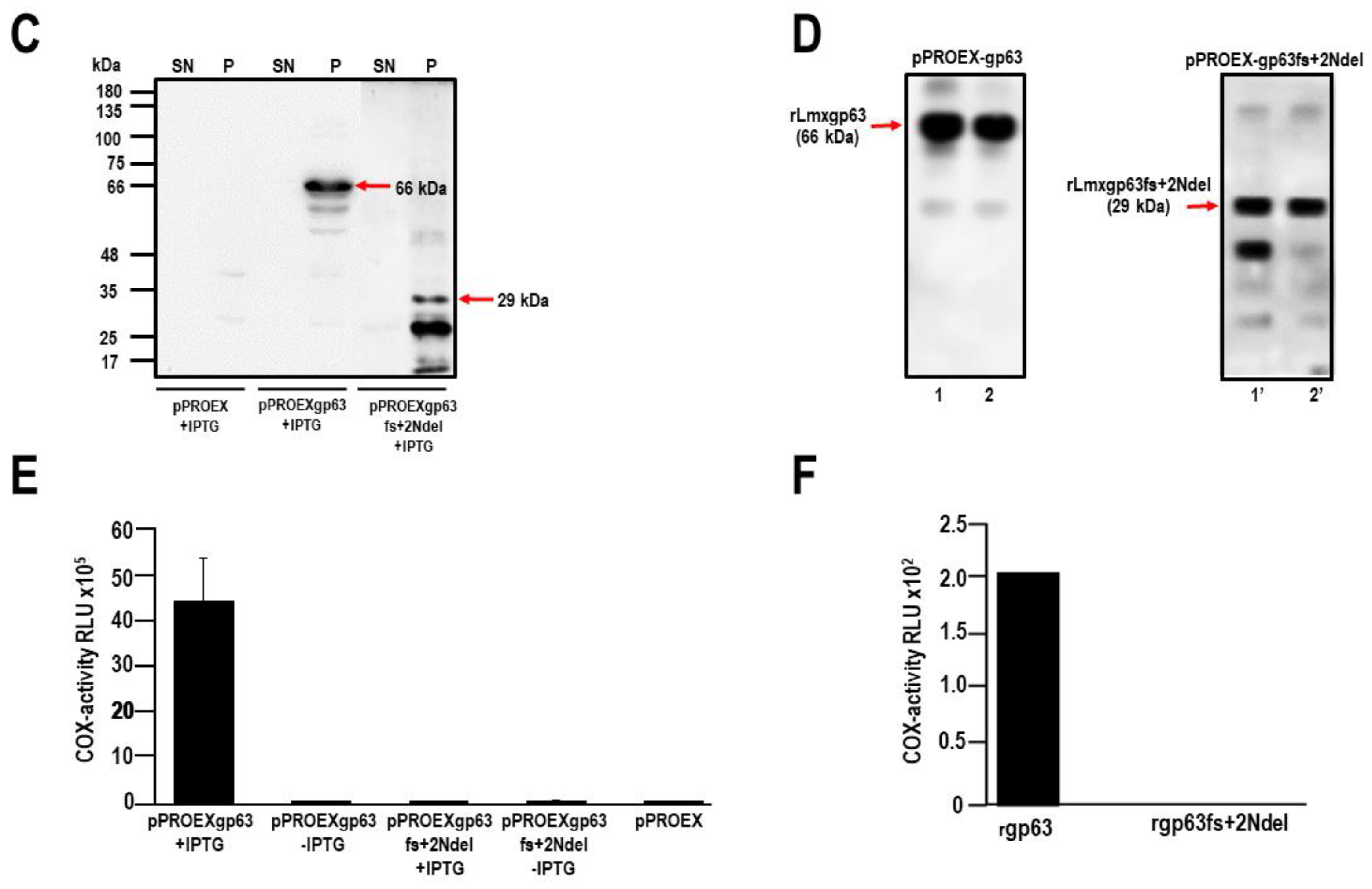 Preprints 113581 g001b