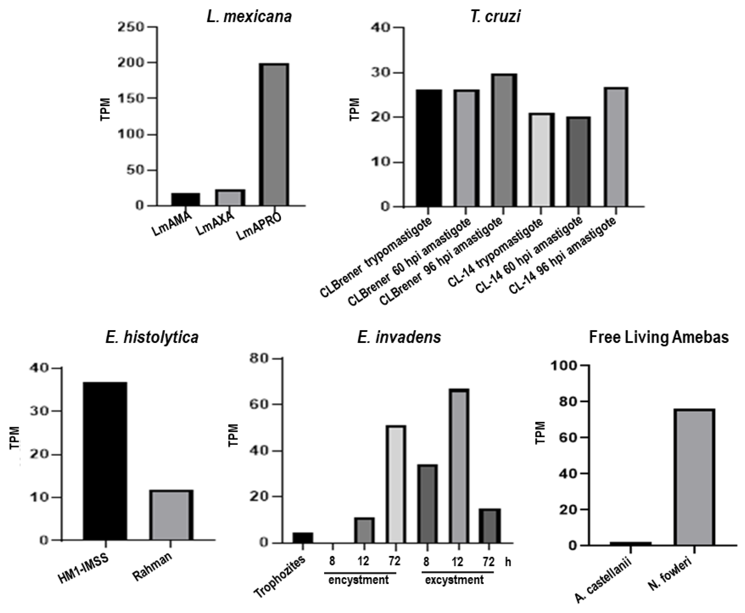 Preprints 113581 g002