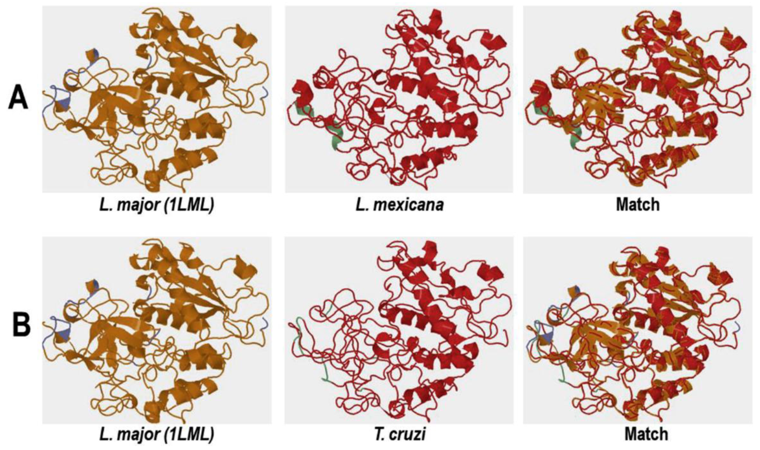 Preprints 113581 g005a