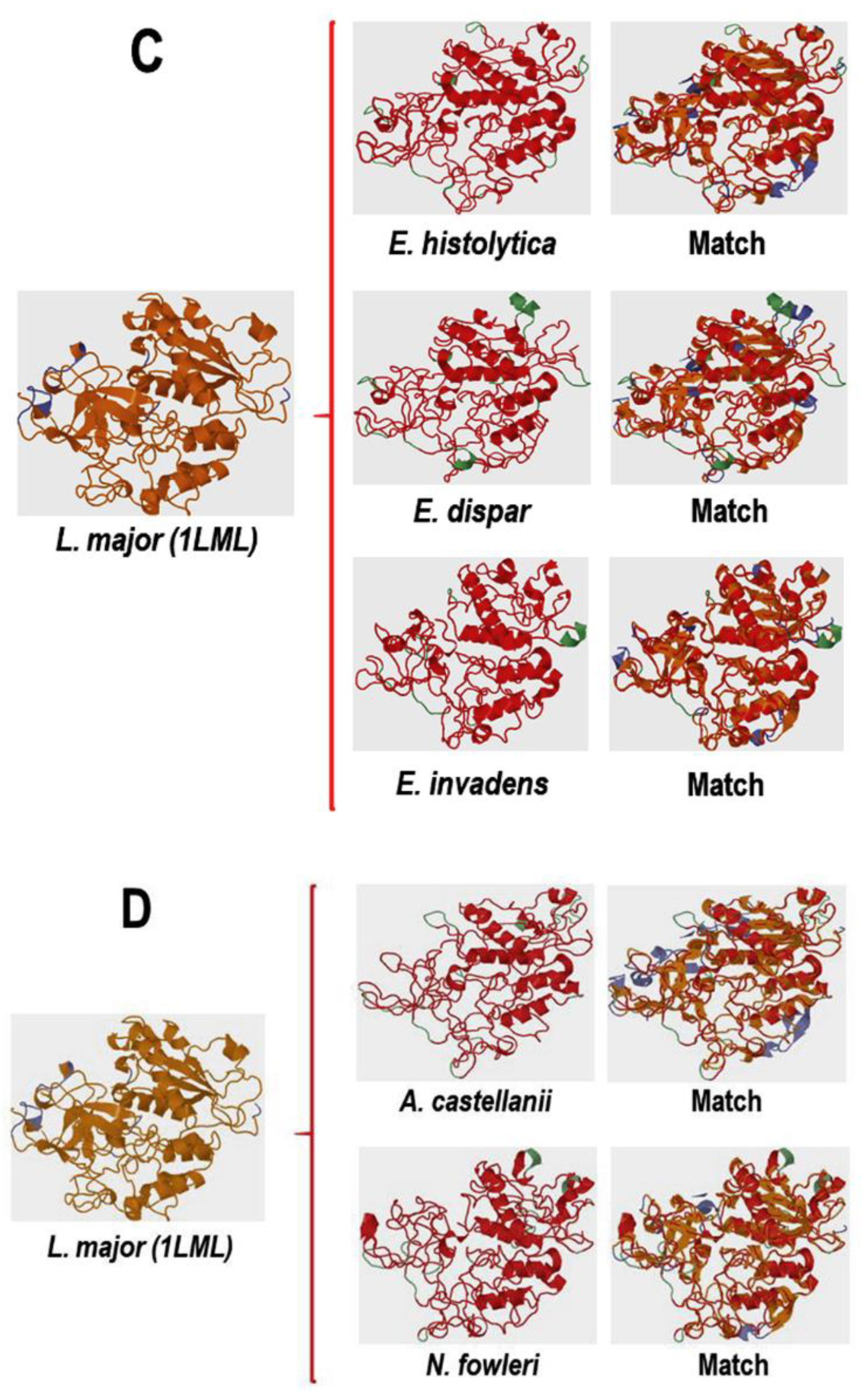 Preprints 113581 g005b