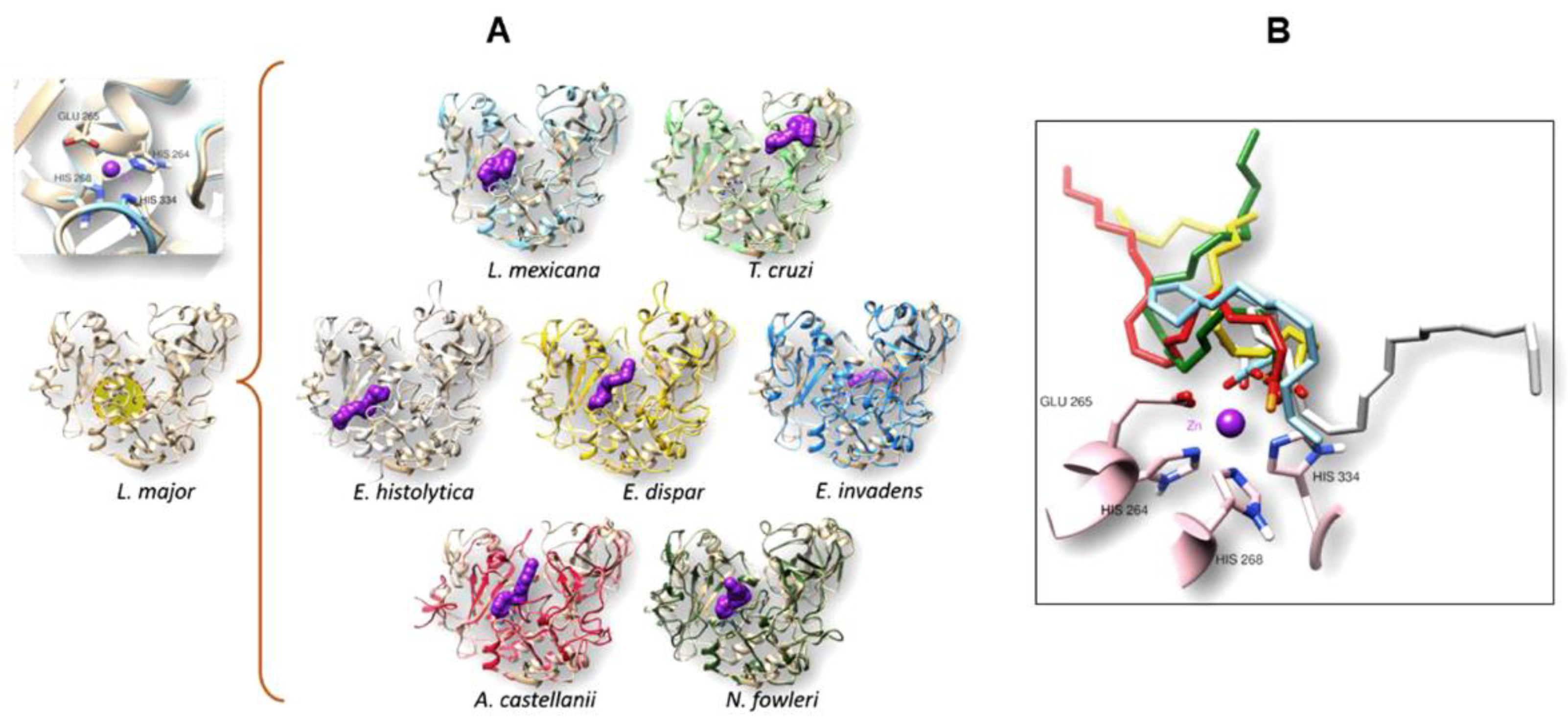 Preprints 113581 g006