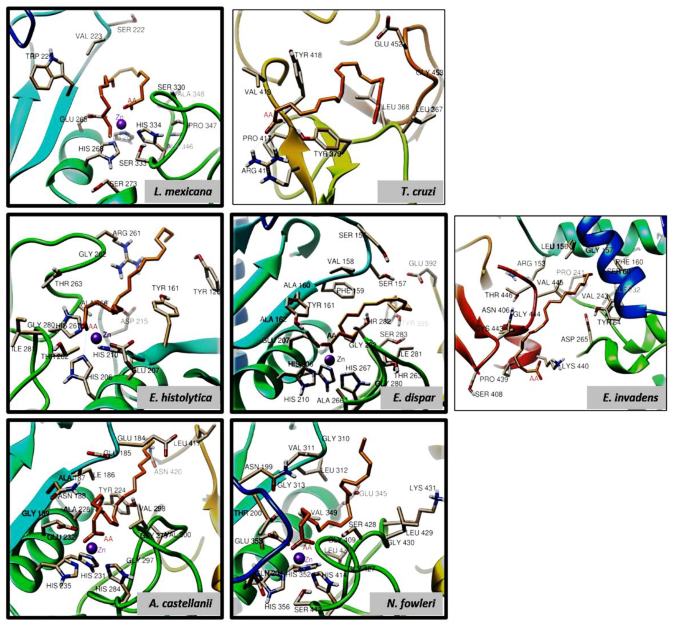 Preprints 113581 g007