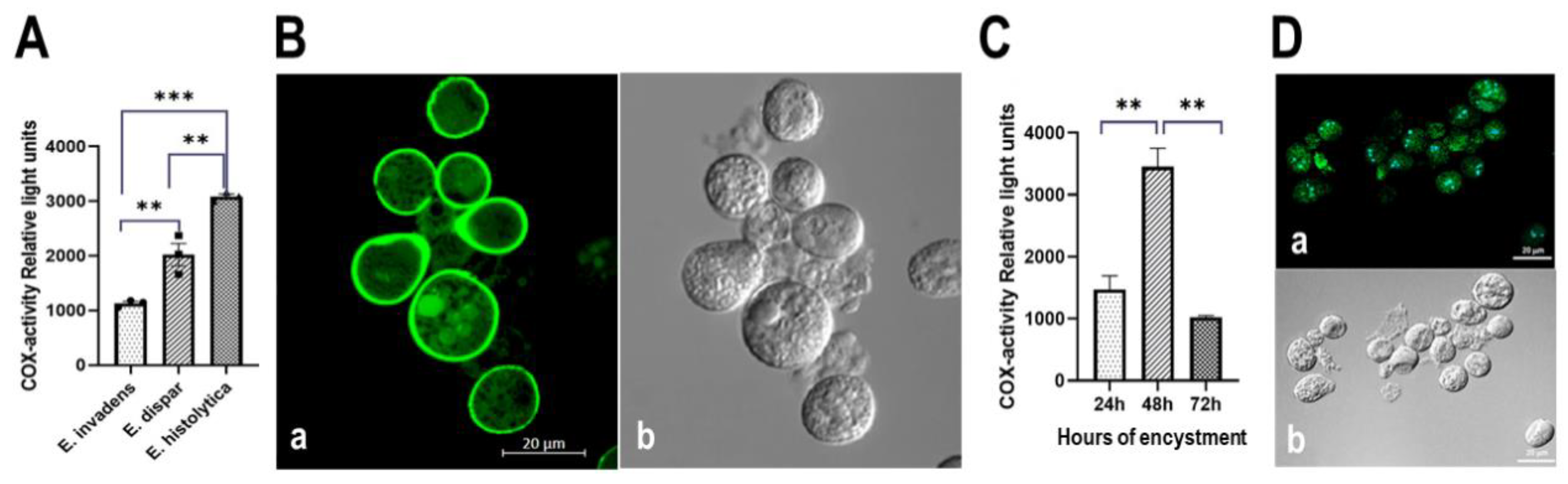 Preprints 113581 g008