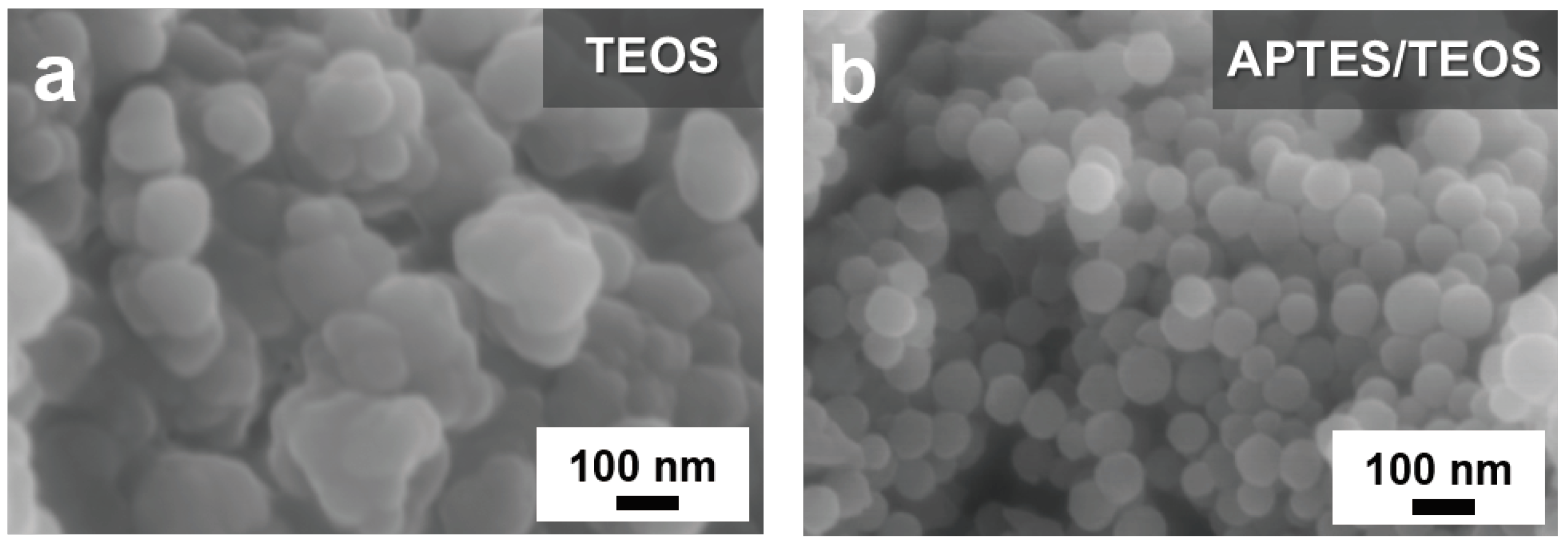 Preprints 91649 g002