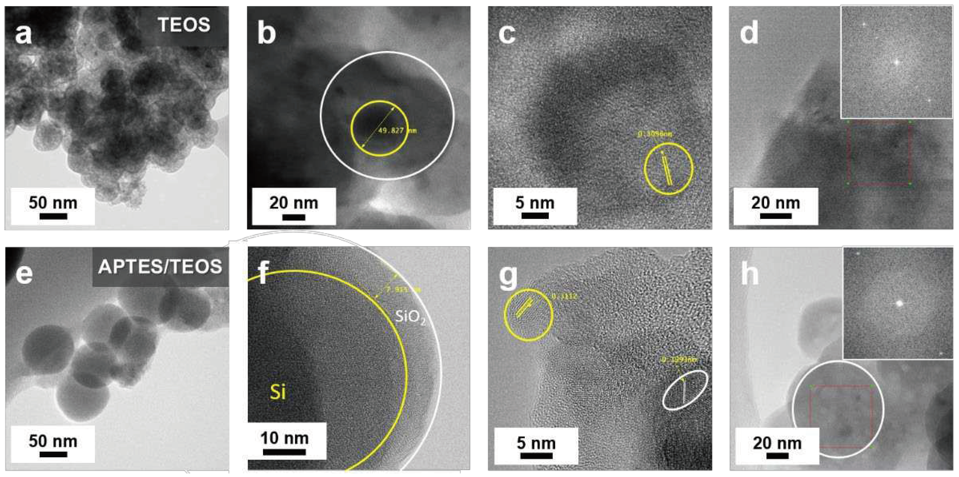 Preprints 91649 g003