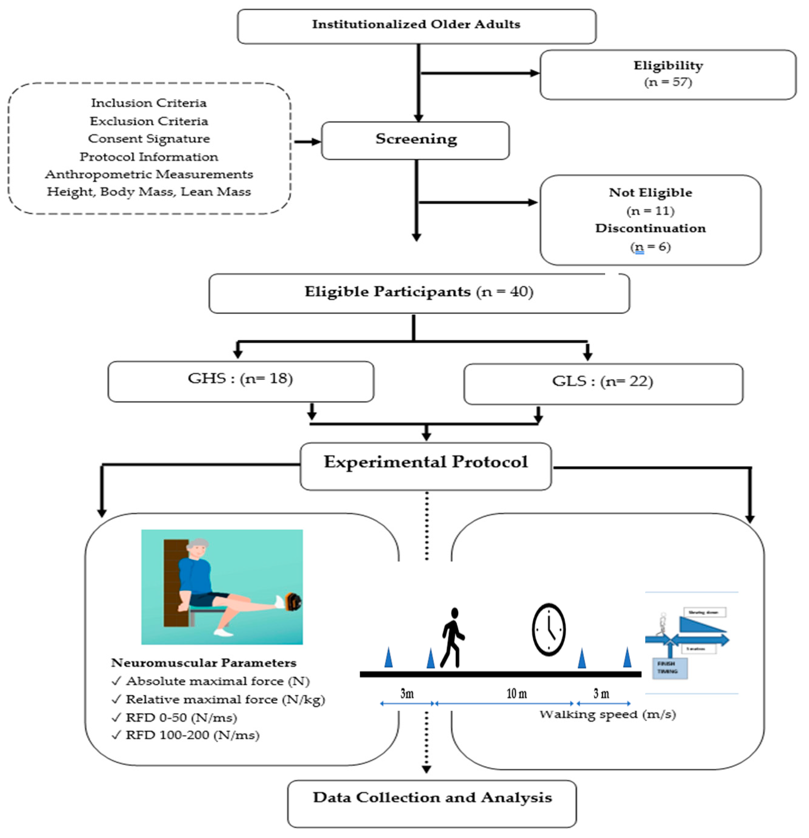 Preprints 111591 g001