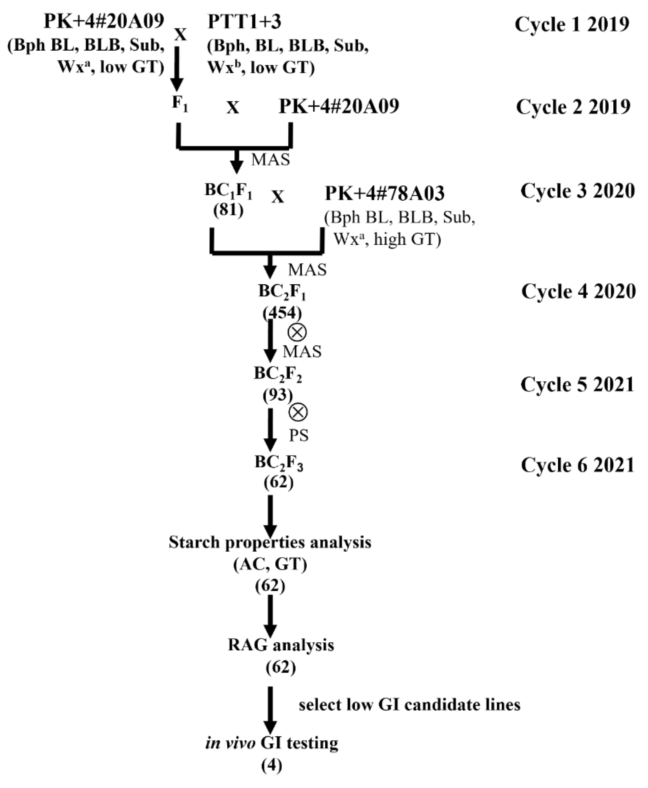 Preprints 137541 g001