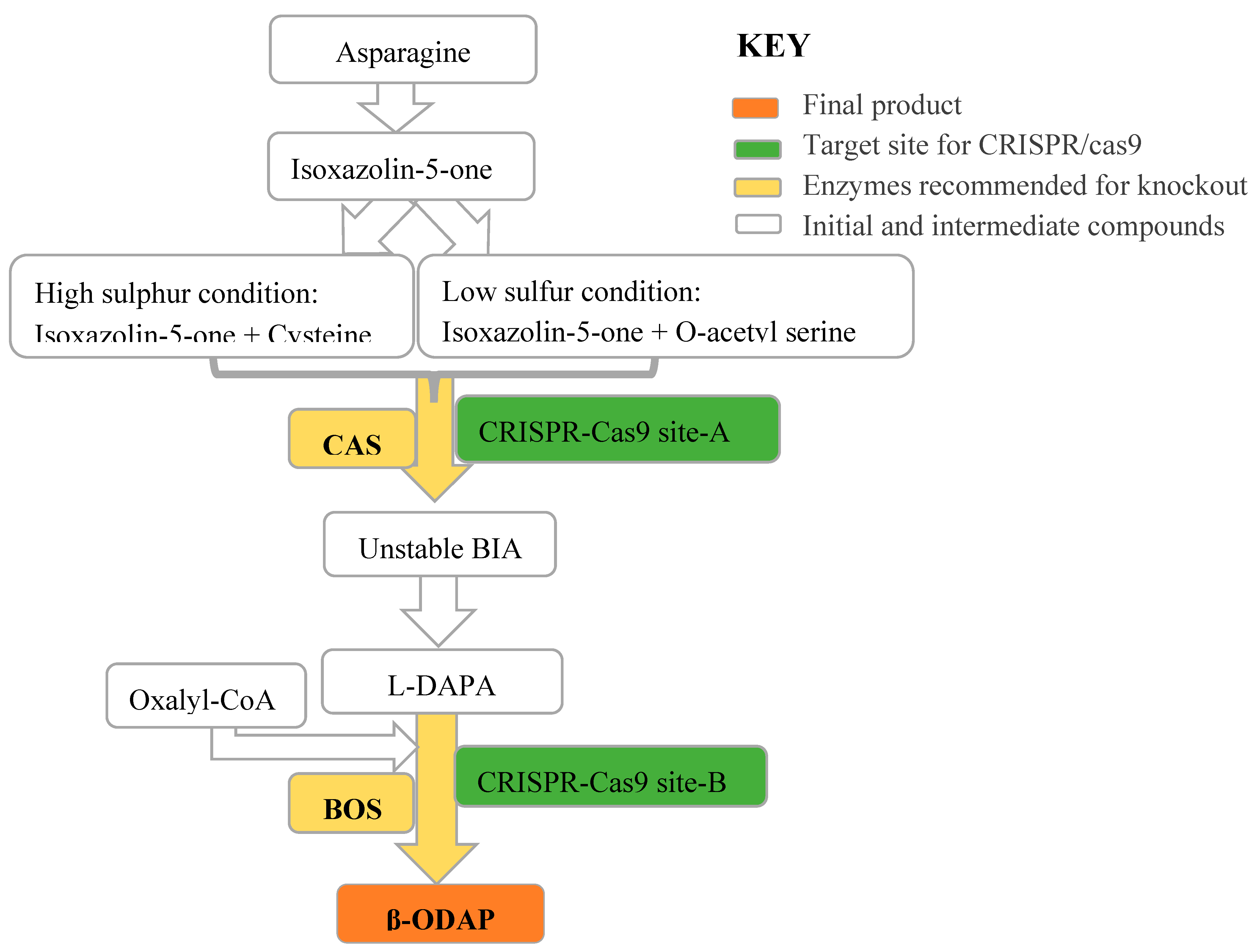 Preprints 111682 g005