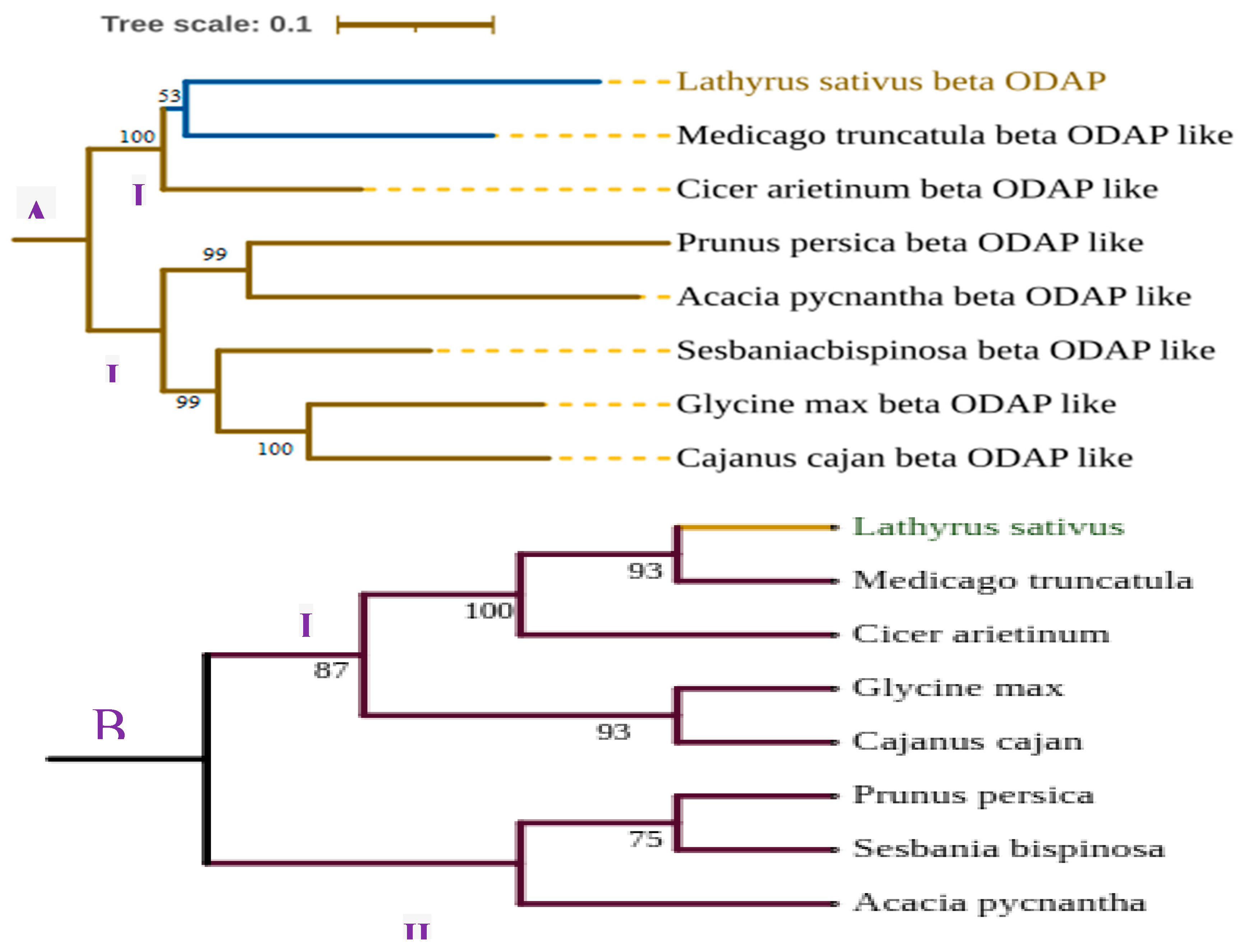 Preprints 111682 g007