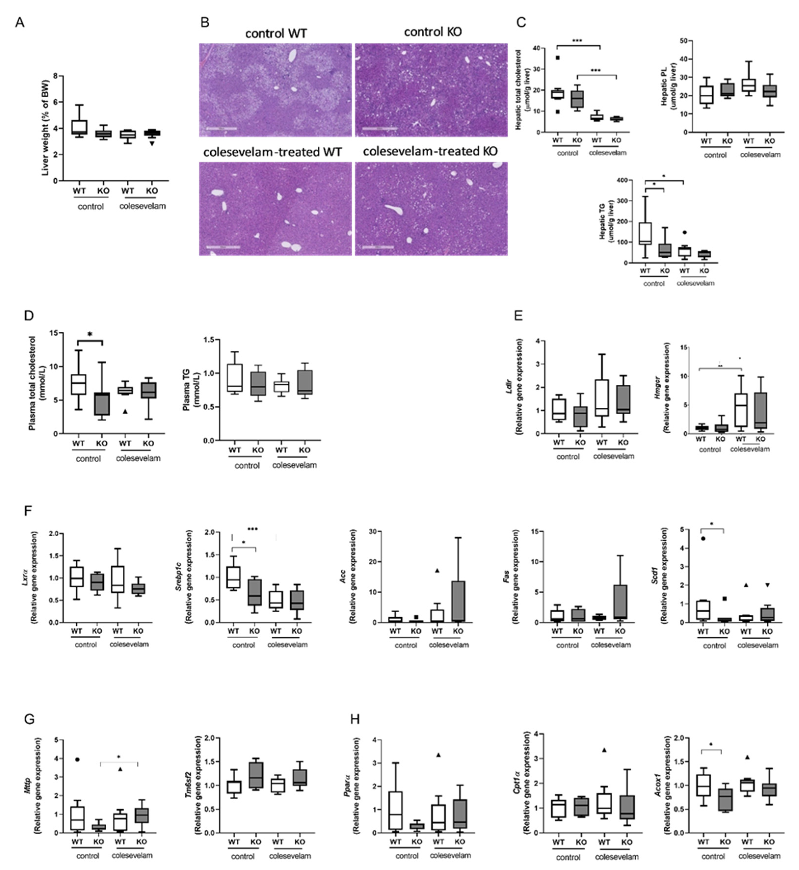 Preprints 81922 g003