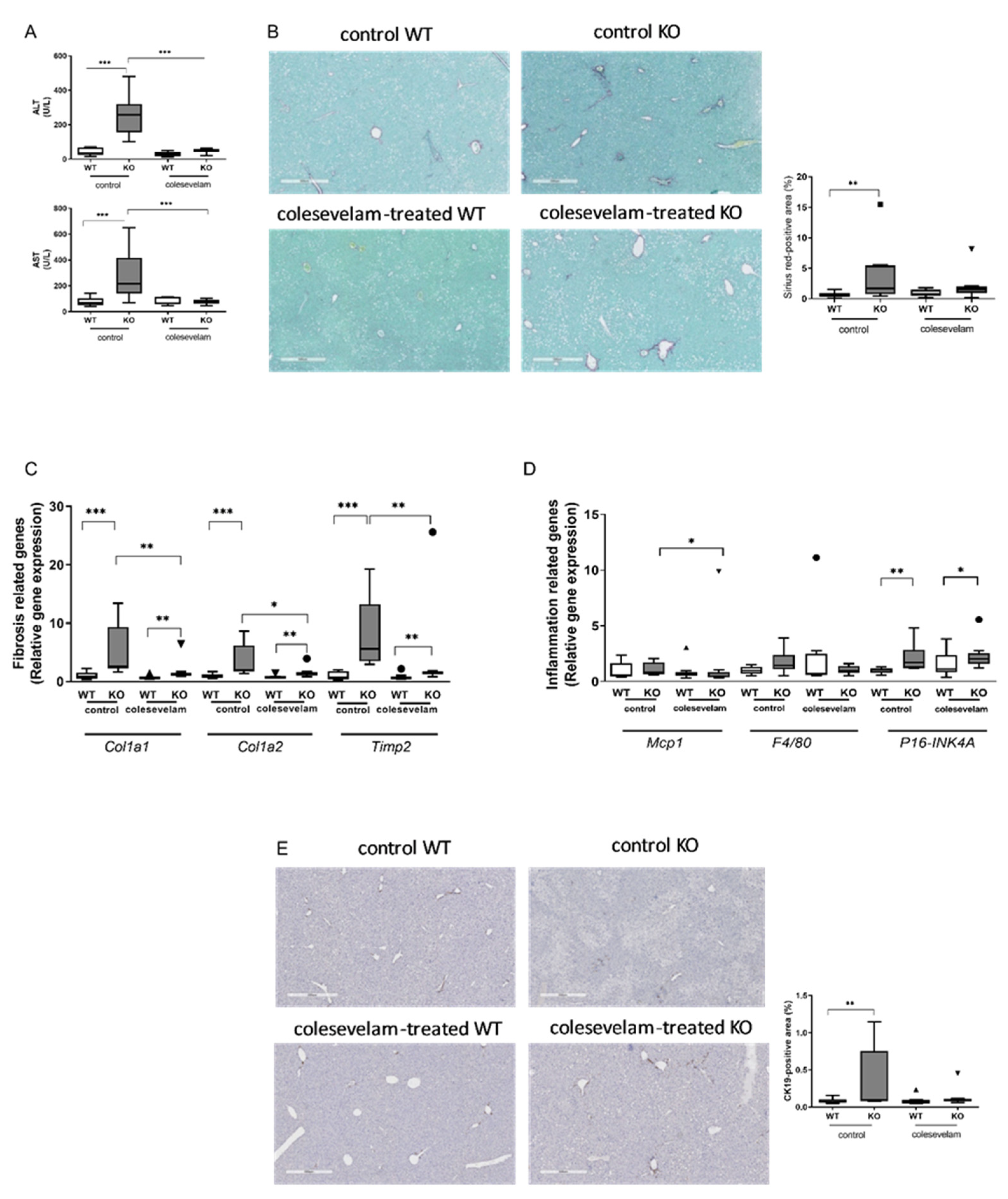 Preprints 81922 g004