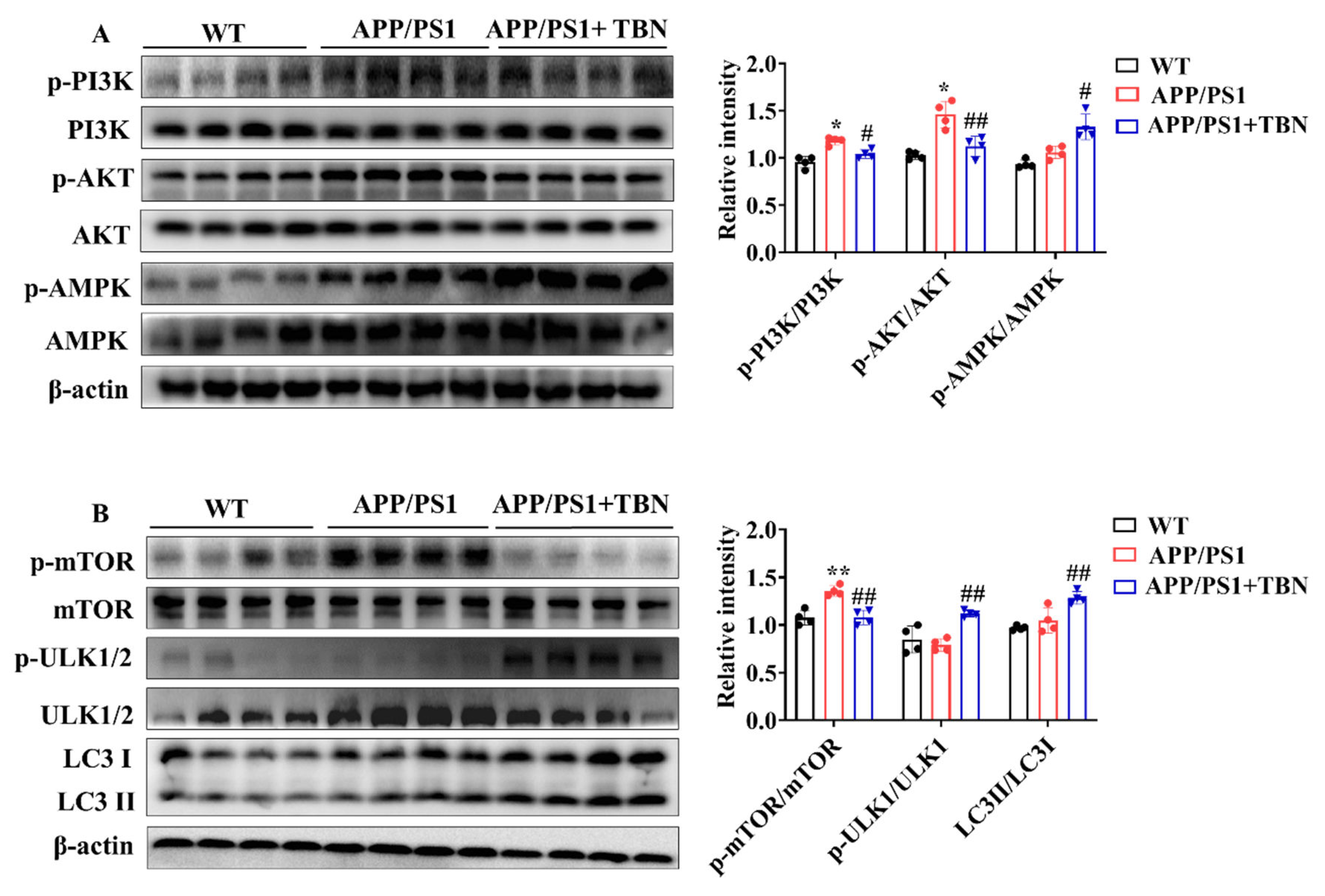 Preprints 110157 g004