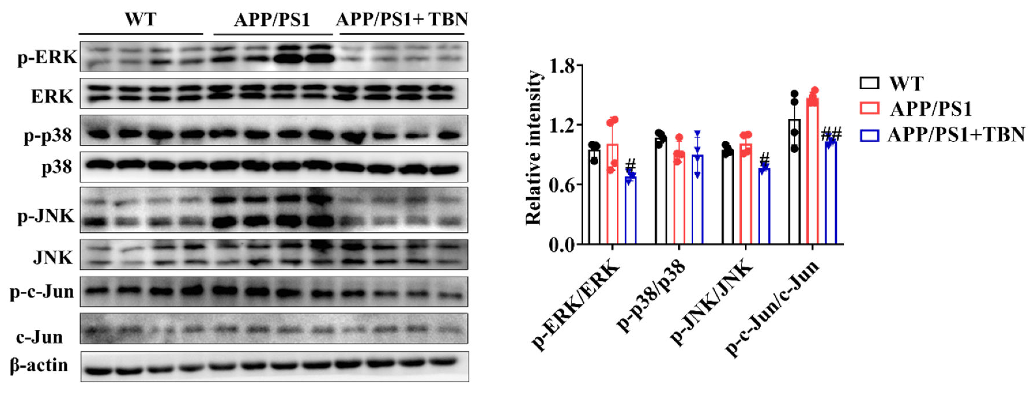 Preprints 110157 g006