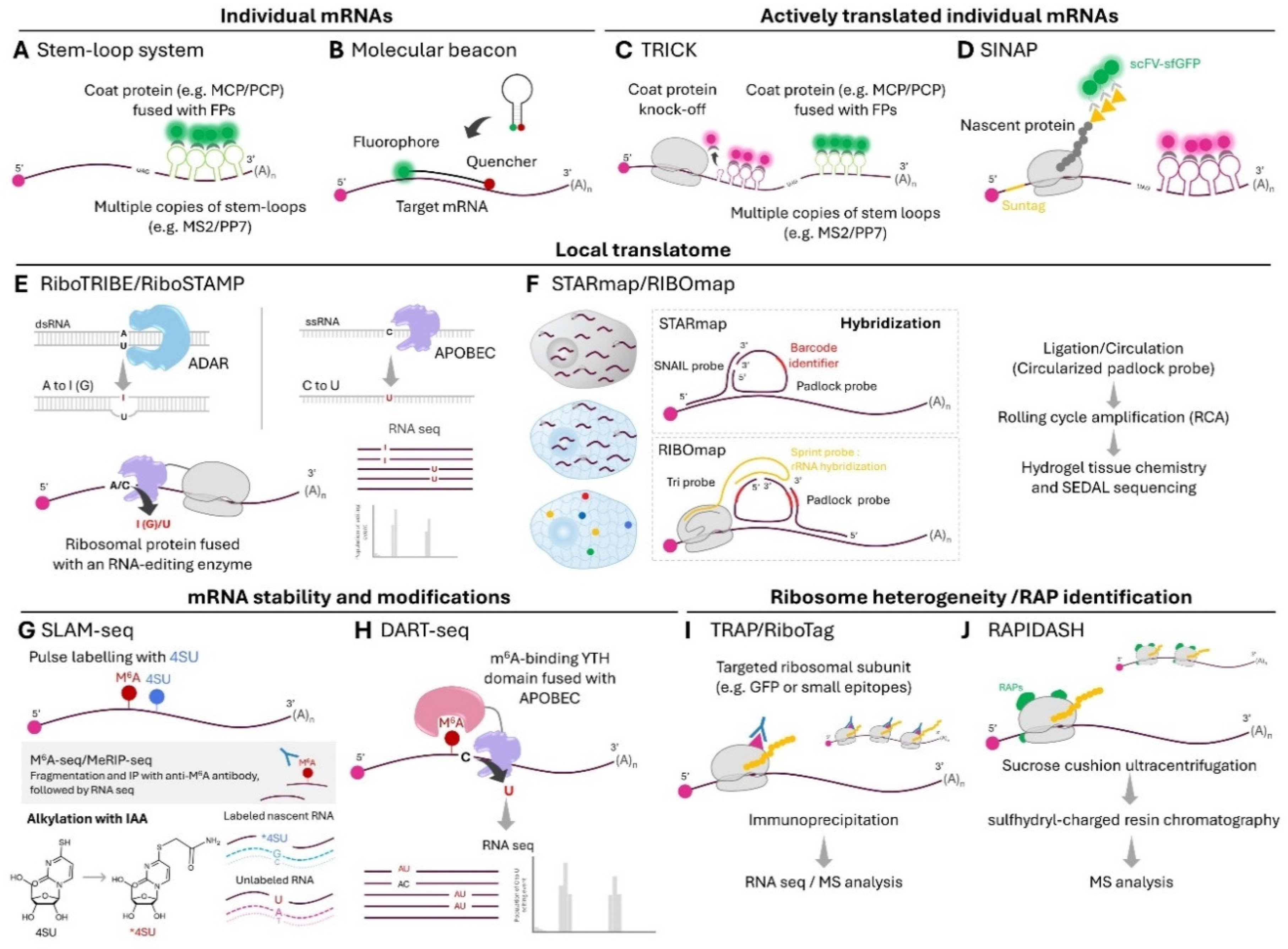 Preprints 113554 g001