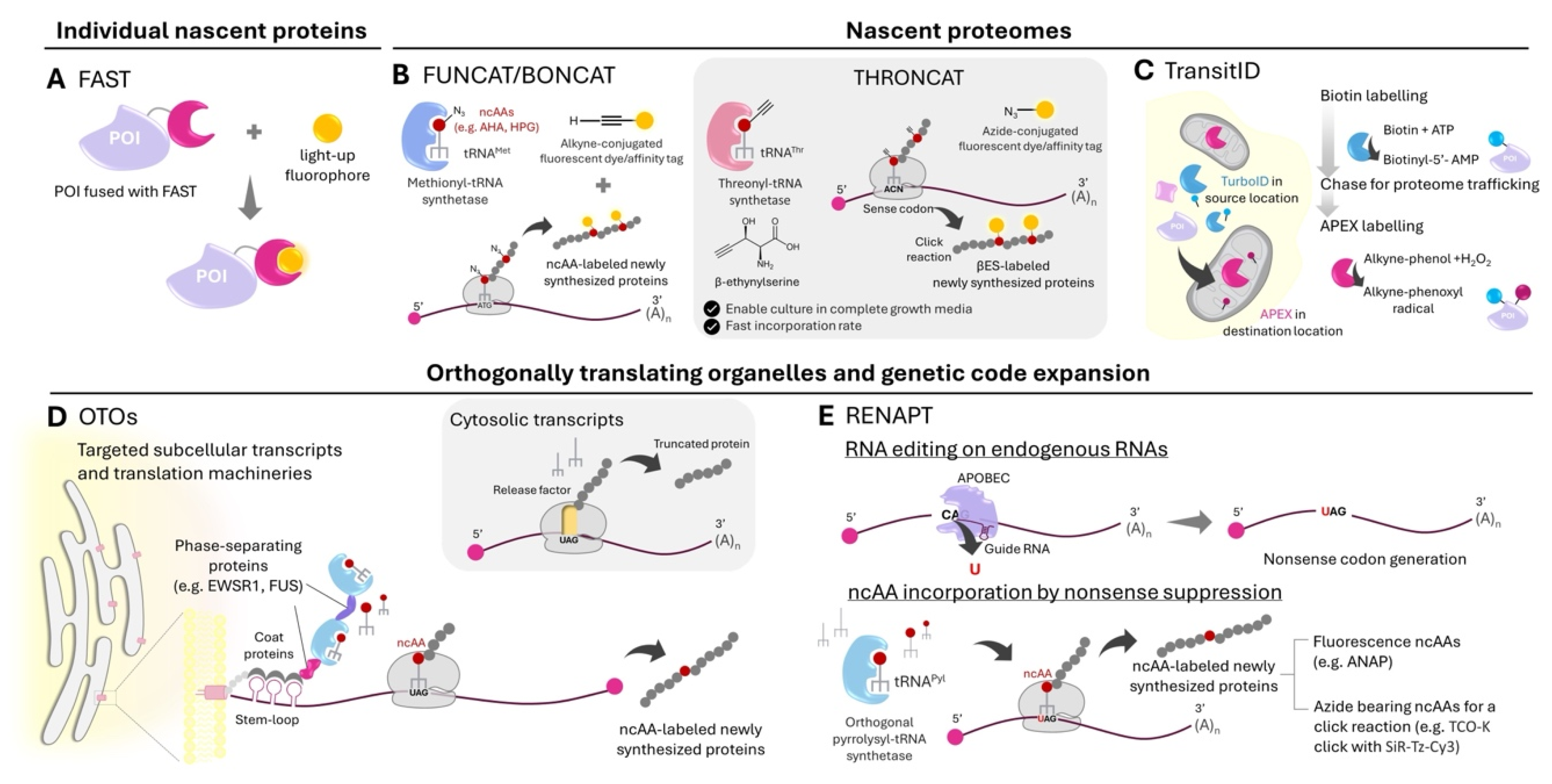 Preprints 113554 g002