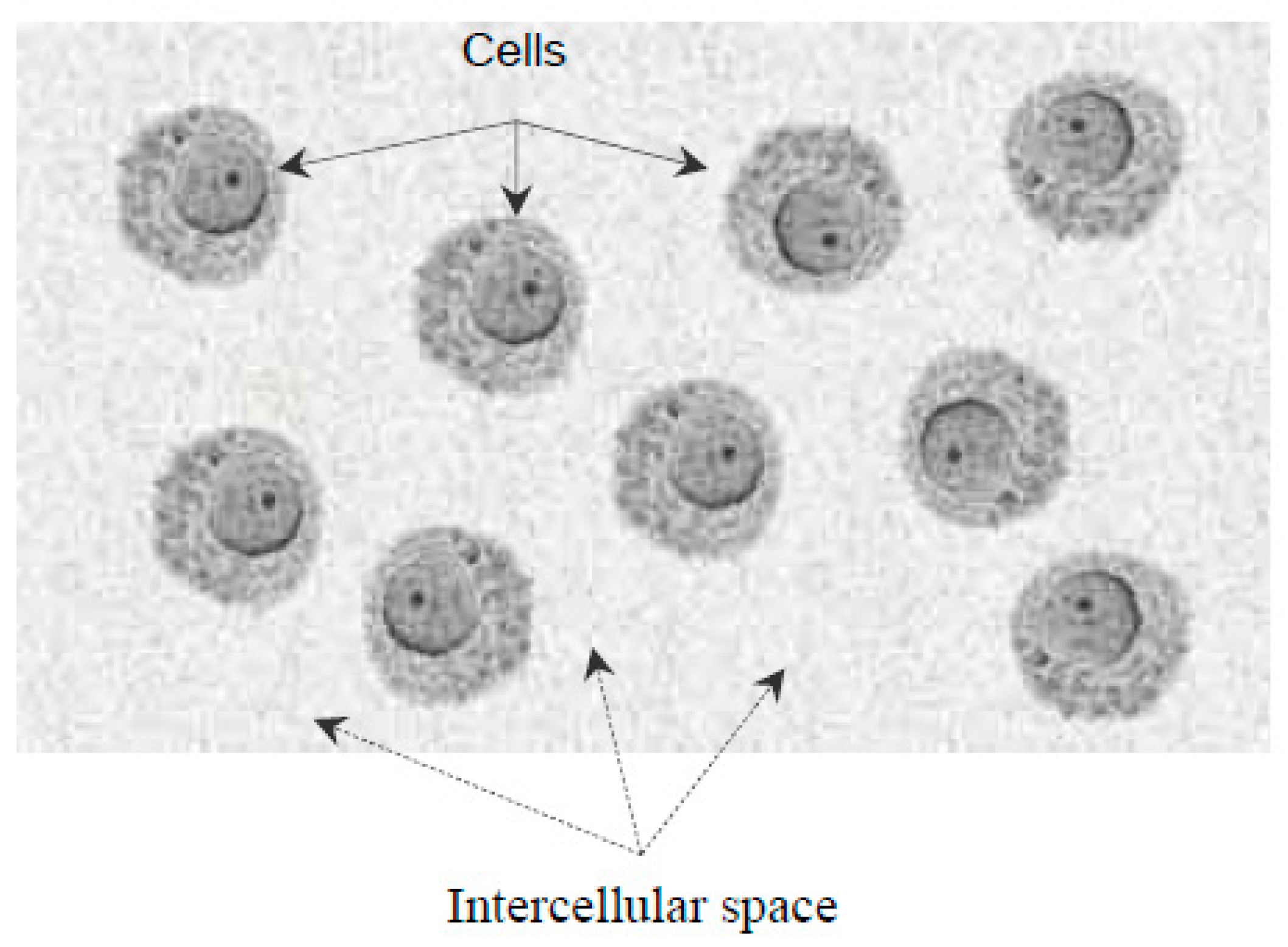 Preprints 88711 g007