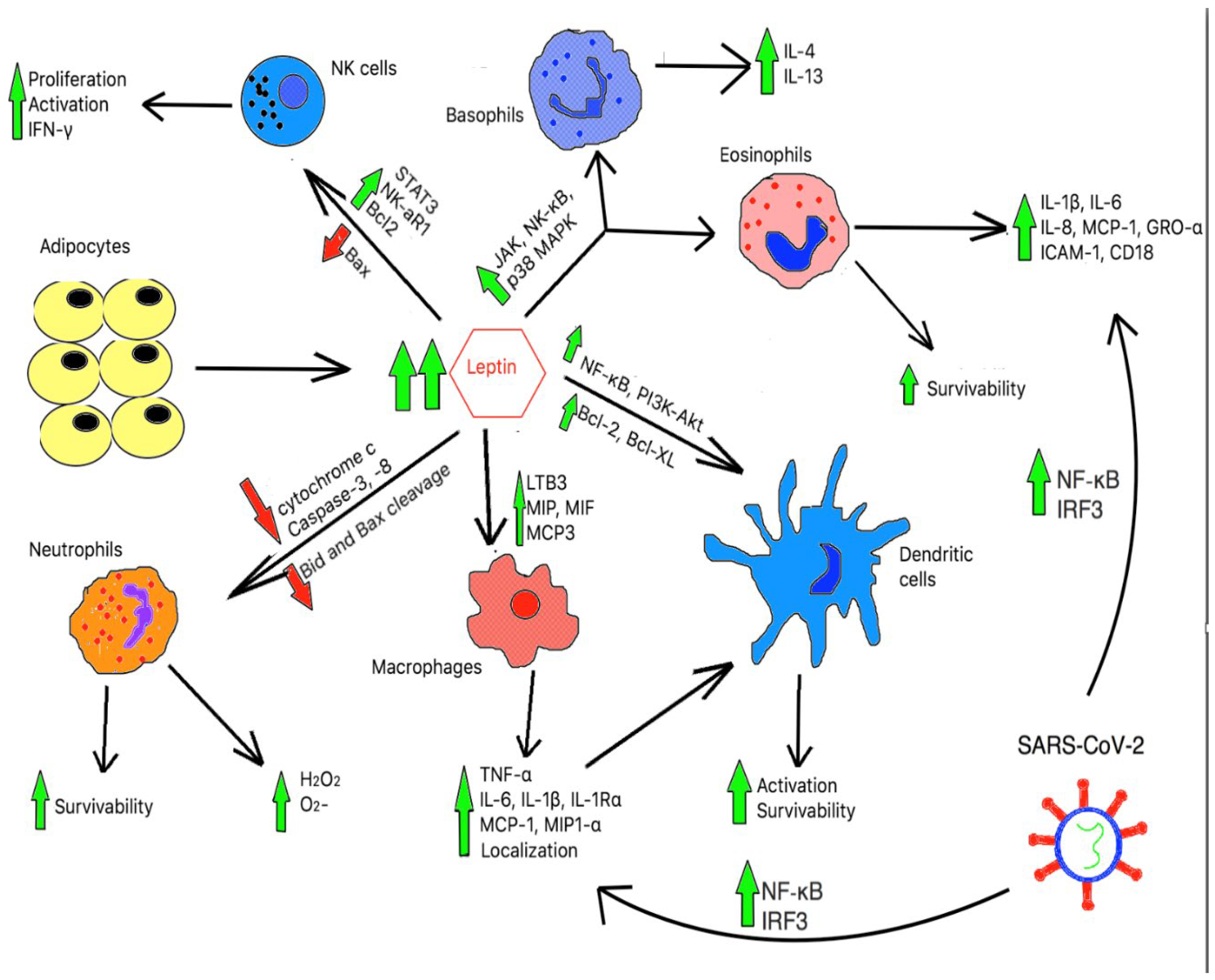 Preprints 75314 g002