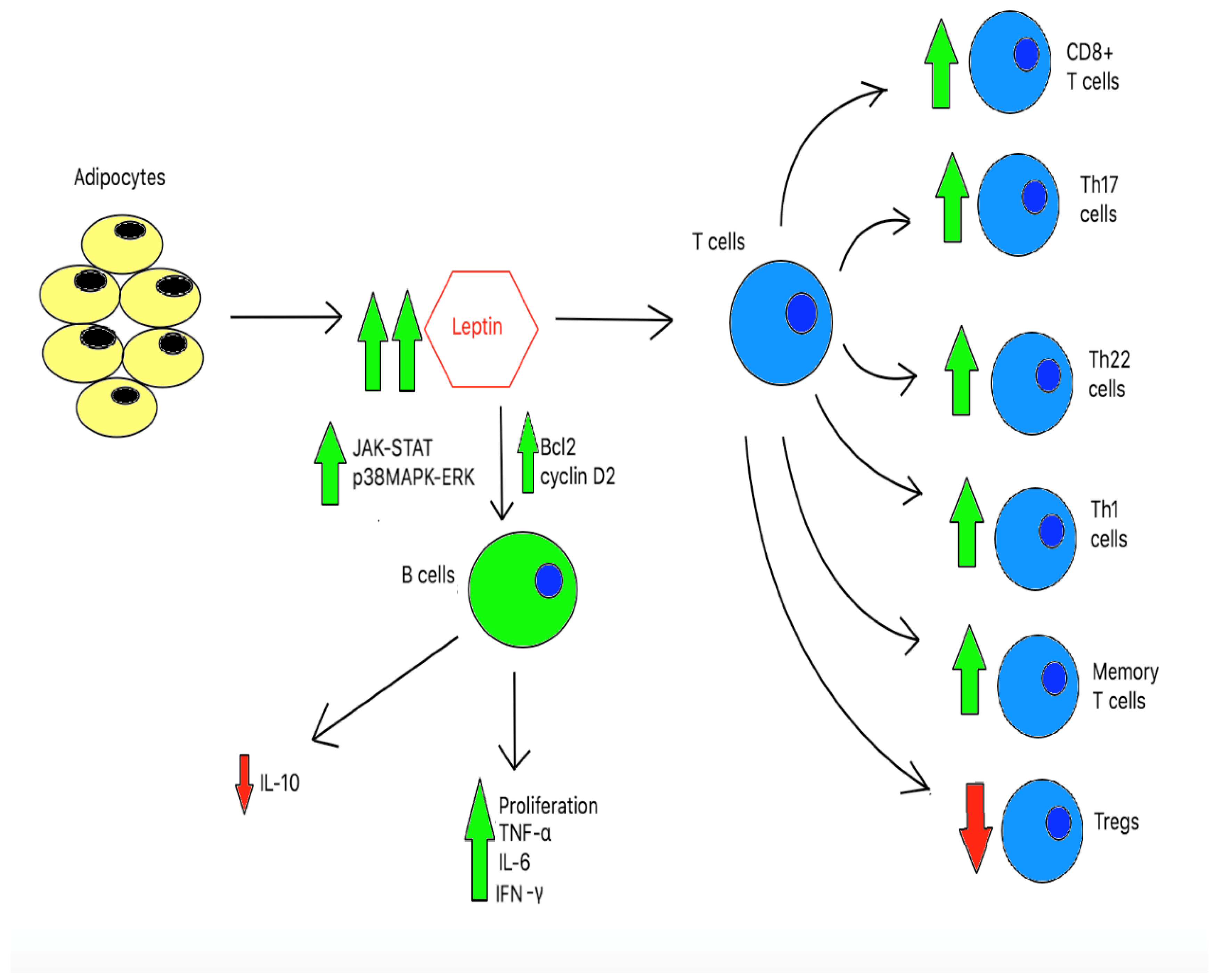 Preprints 75314 g003