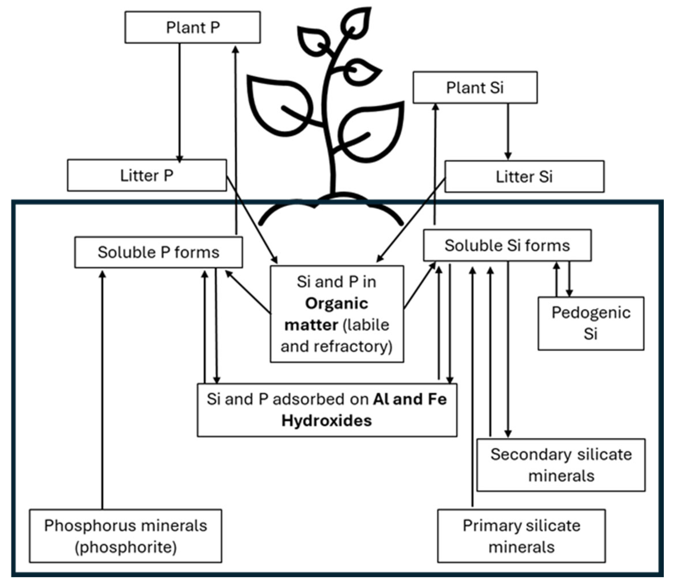 Preprints 120964 g001