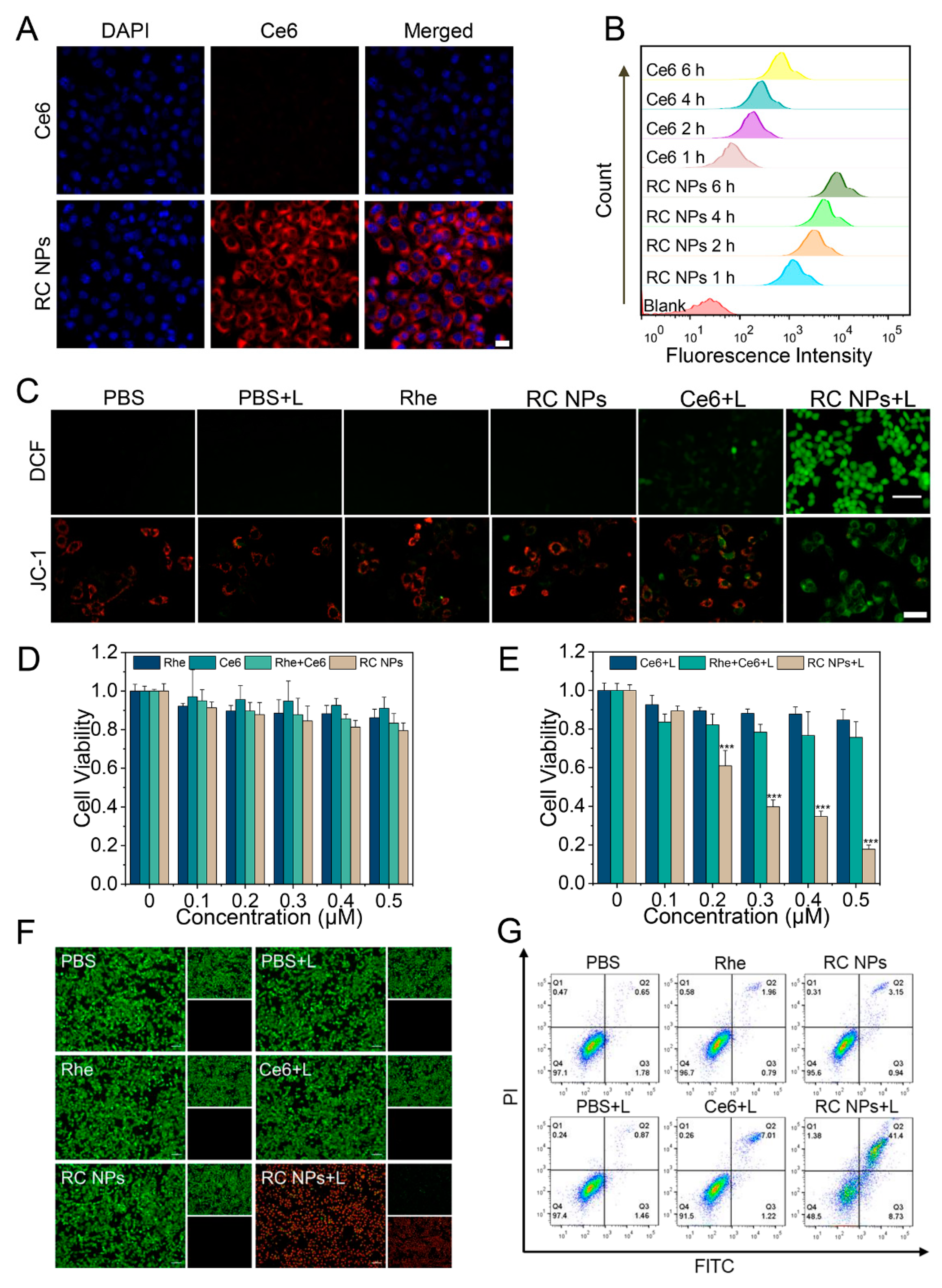 Preprints 137596 g002