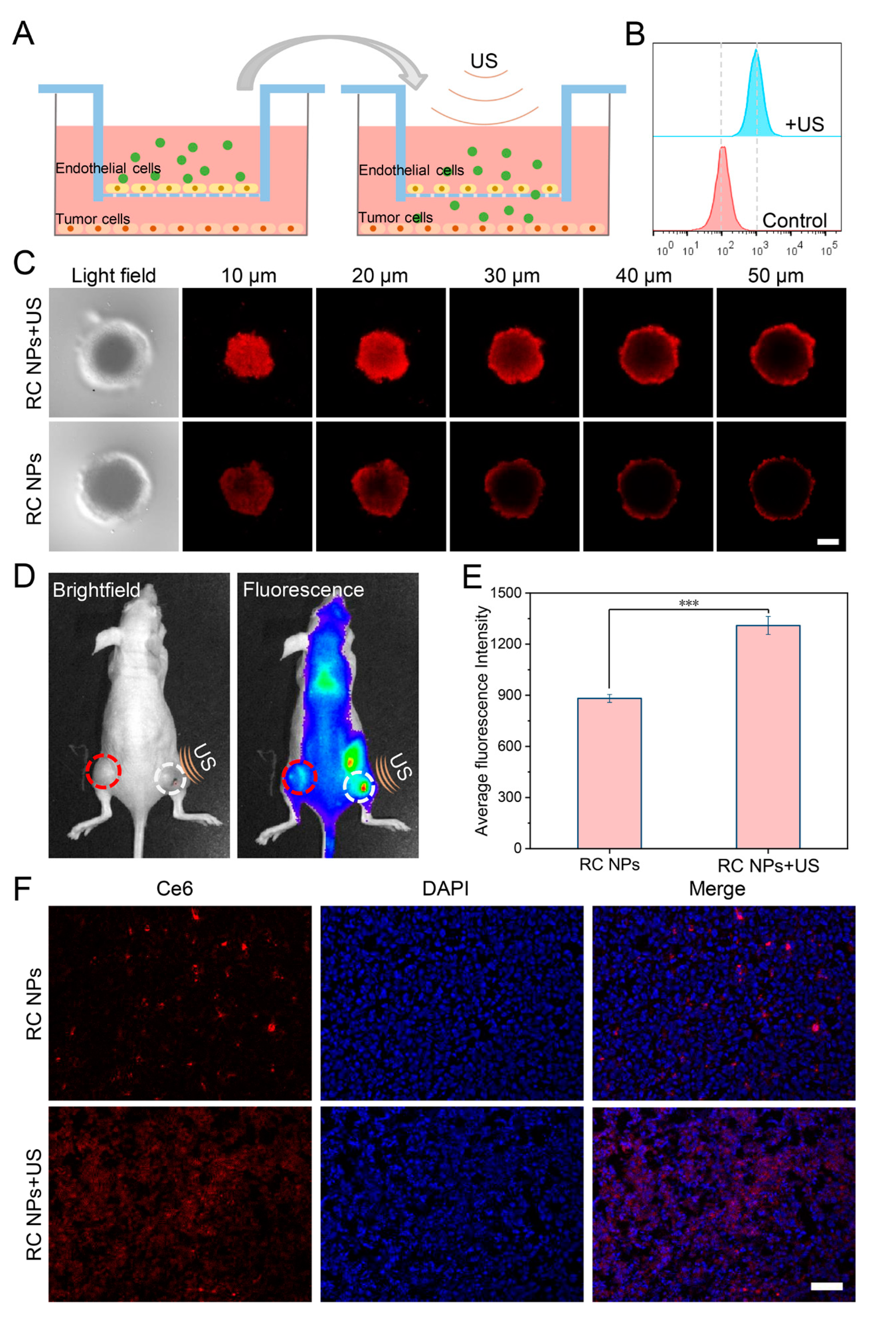 Preprints 137596 g003