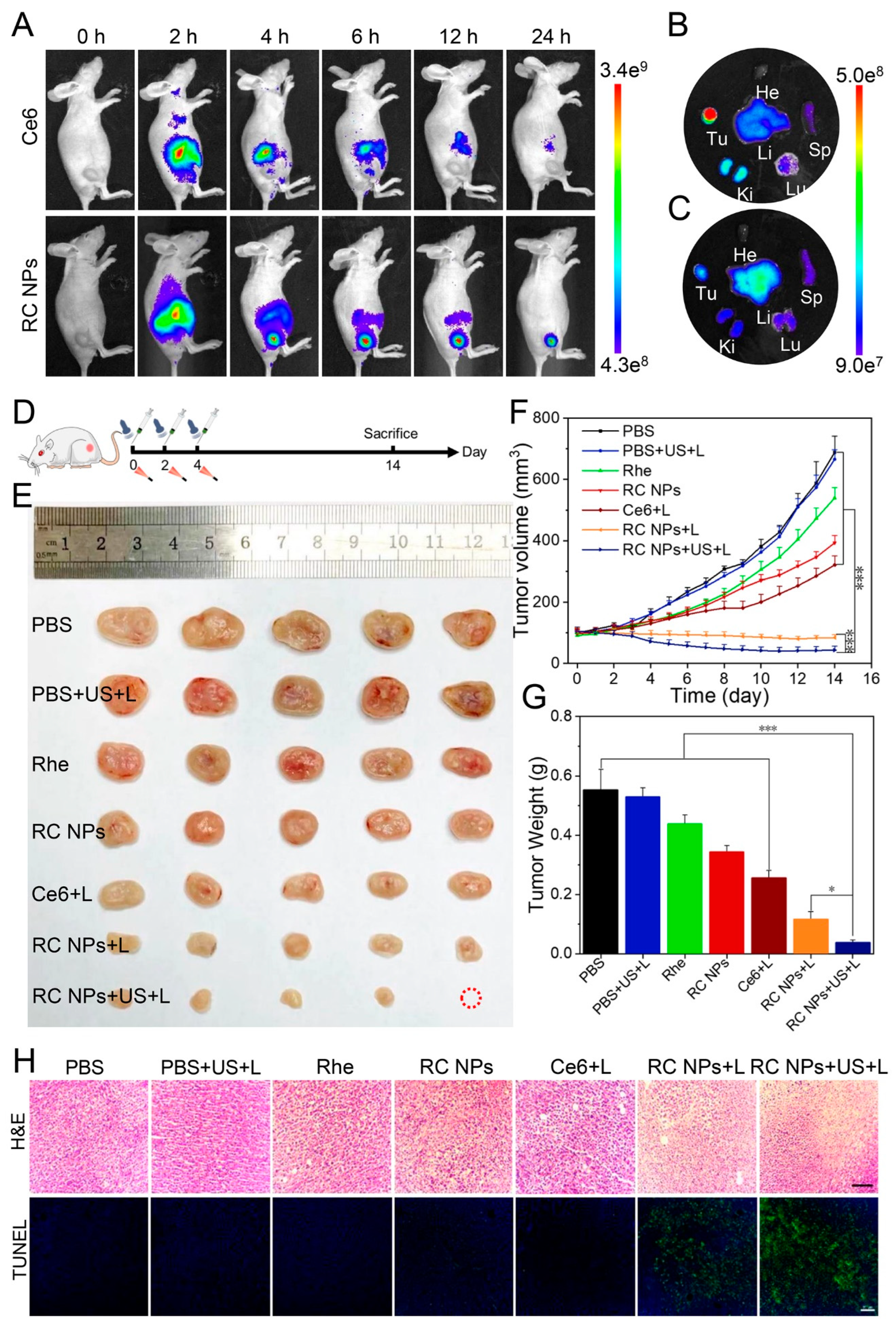 Preprints 137596 g004