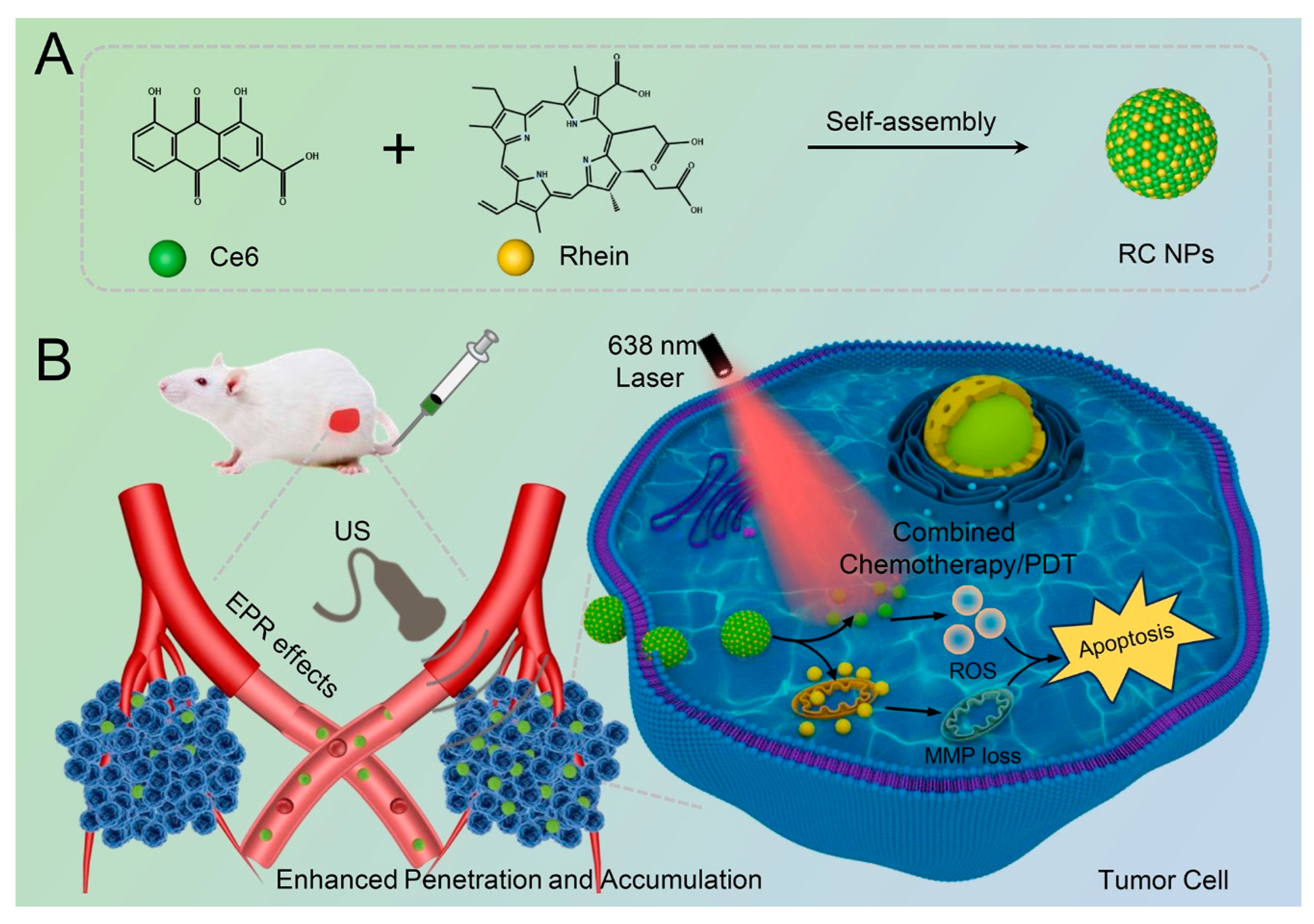 Preprints 137596 sch001