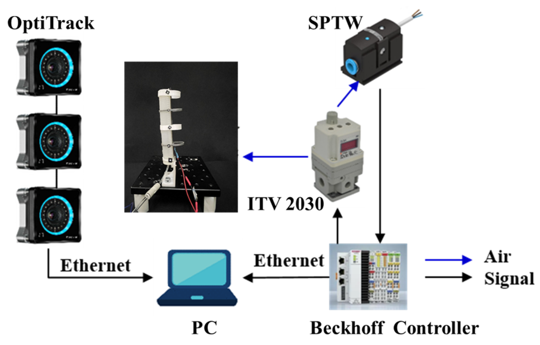 Preprints 118311 g005