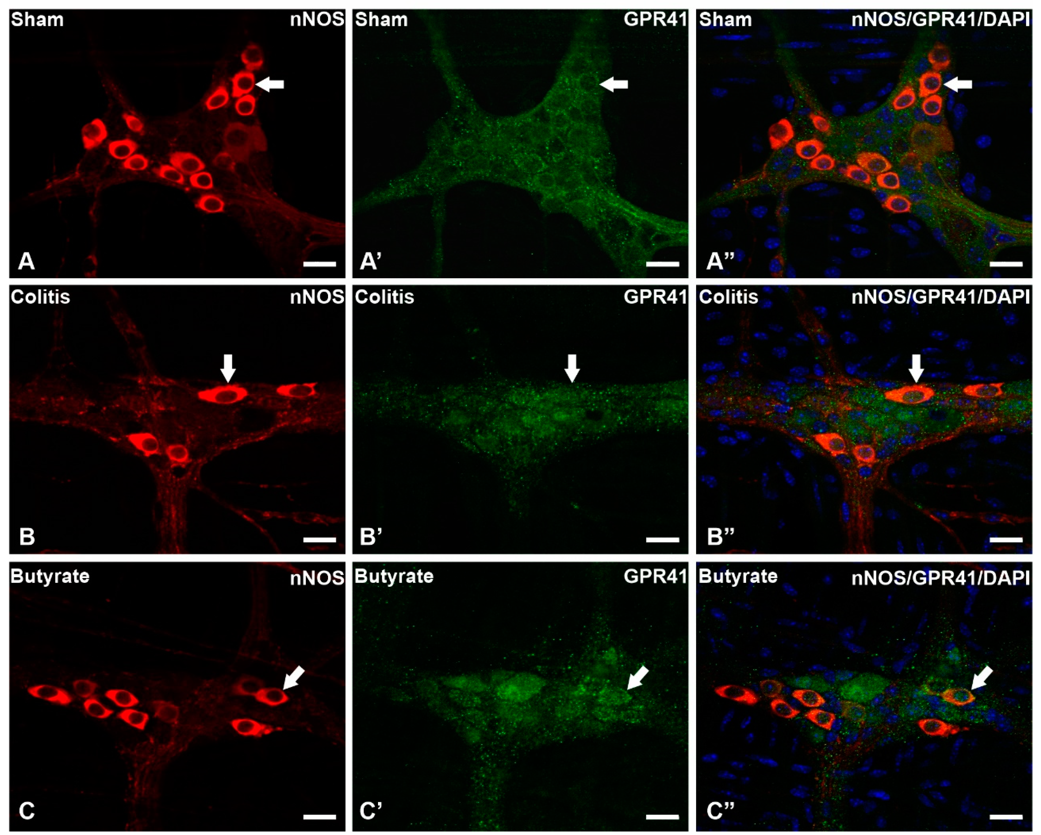 Preprints 74205 g002