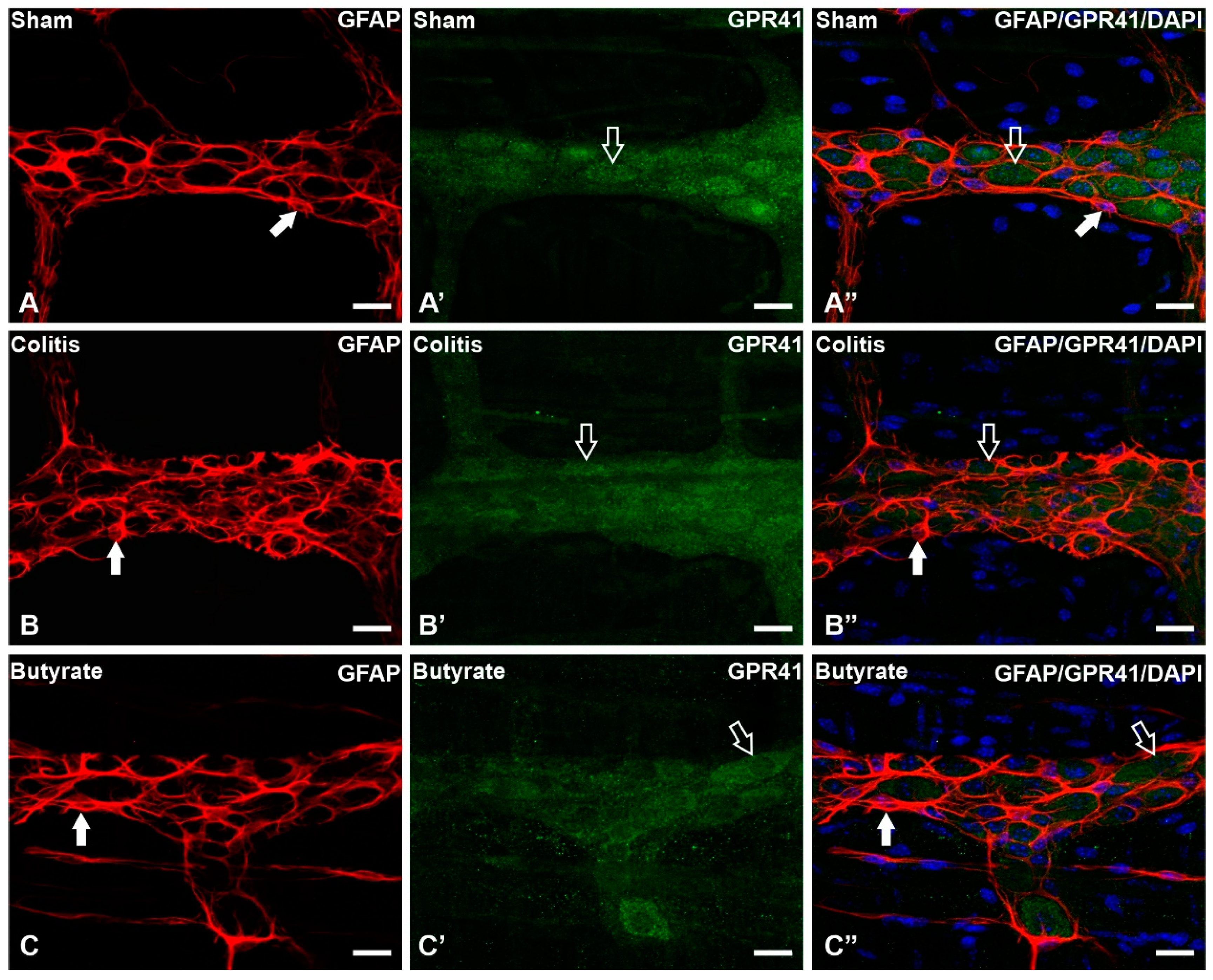 Preprints 74205 g005