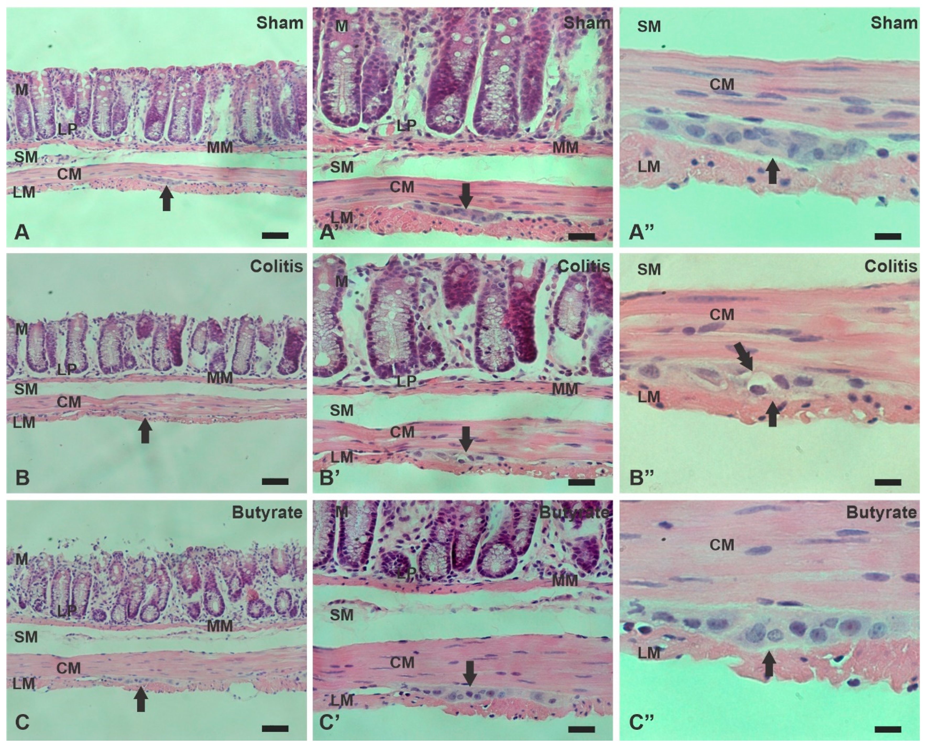 Preprints 74205 g011