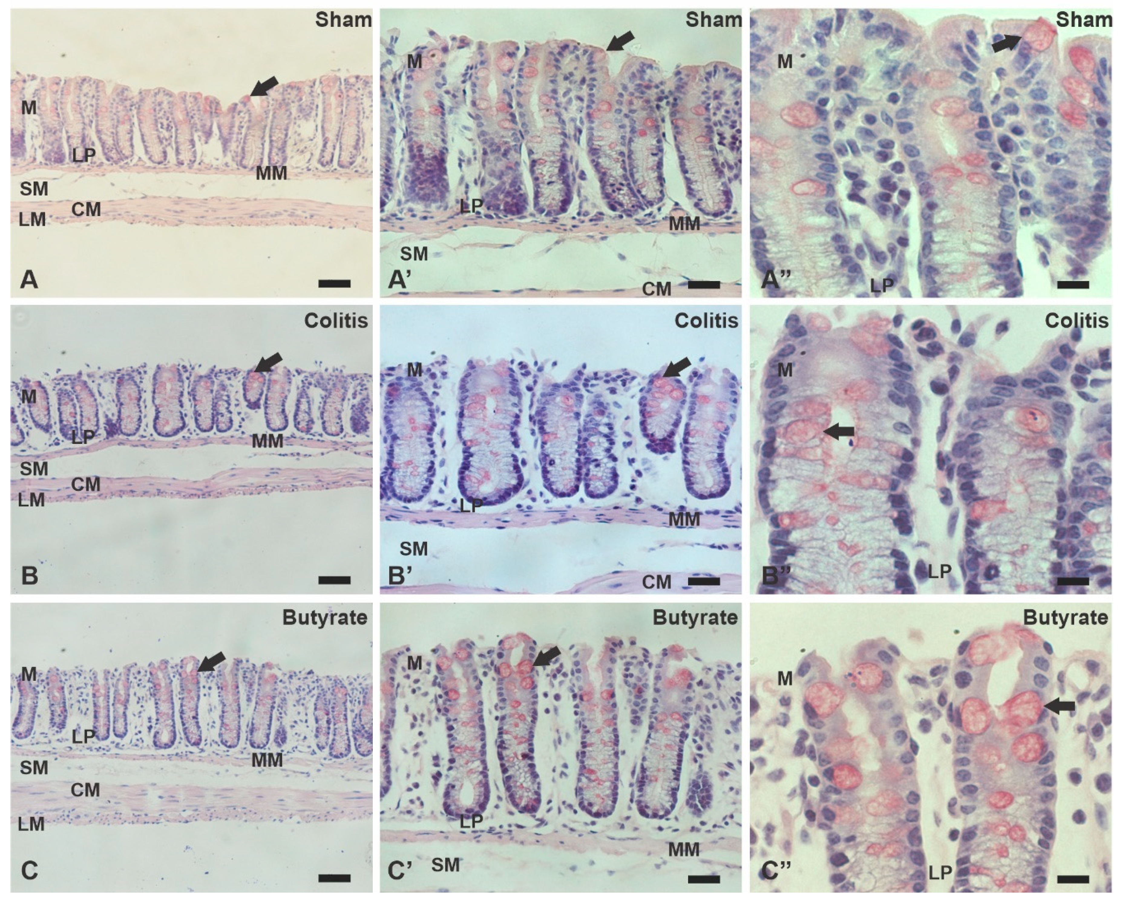 Preprints 74205 g012