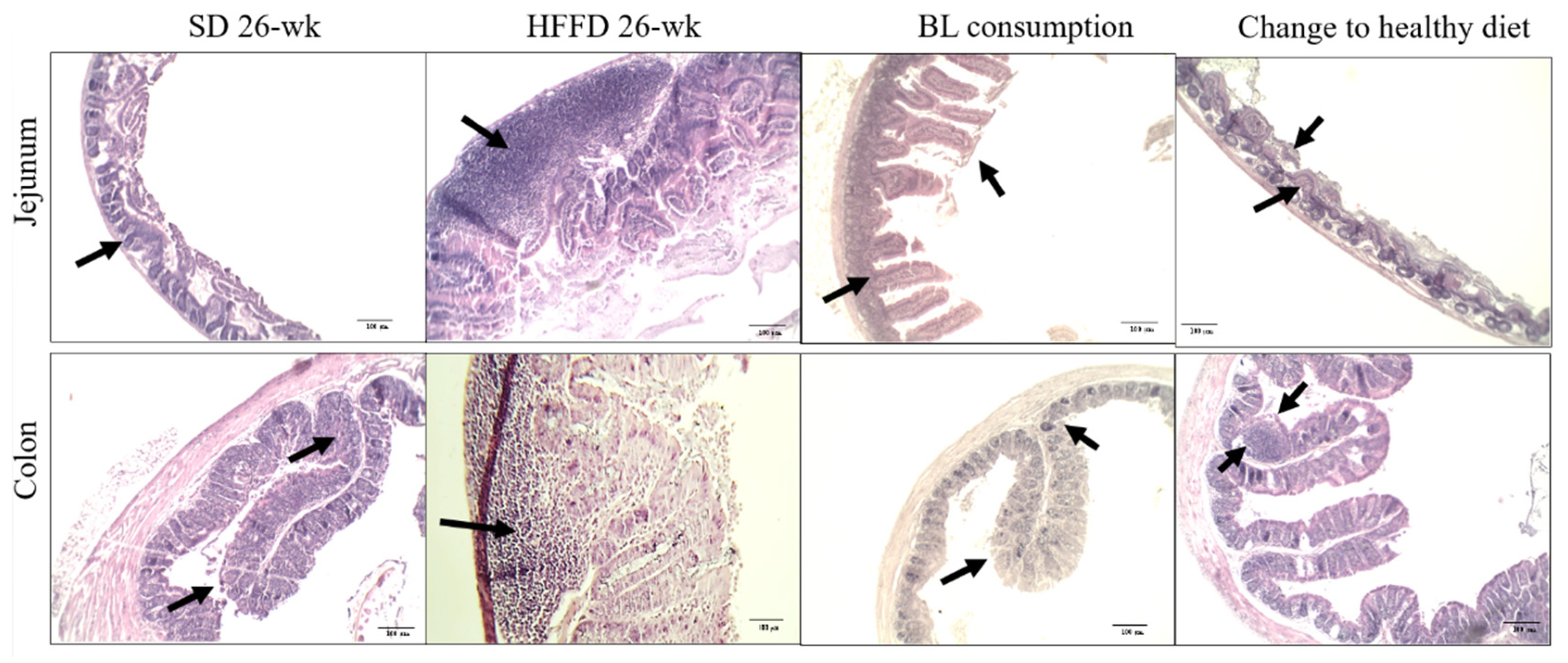 Preprints 93519 g003