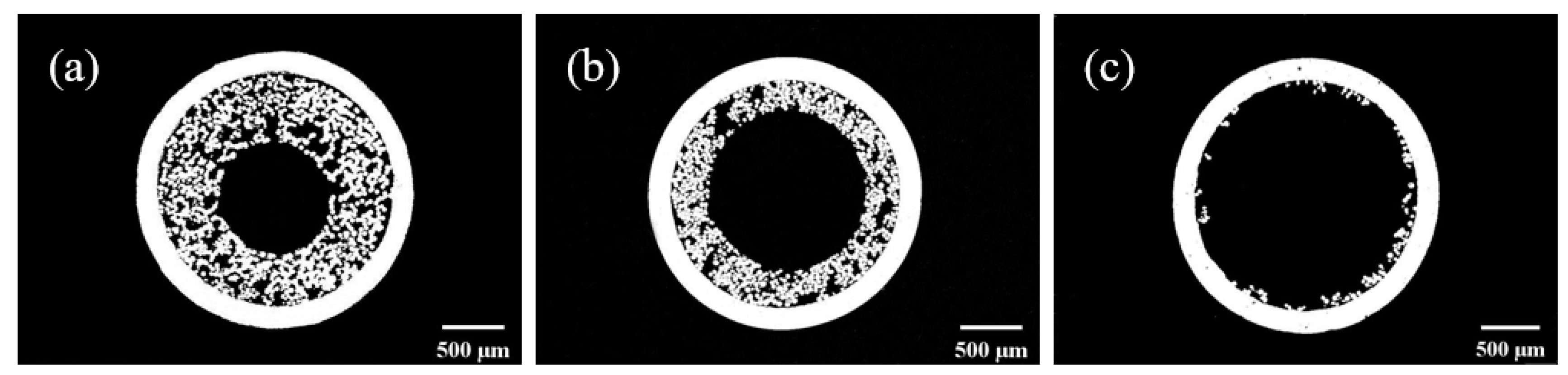 Preprints 94476 g006