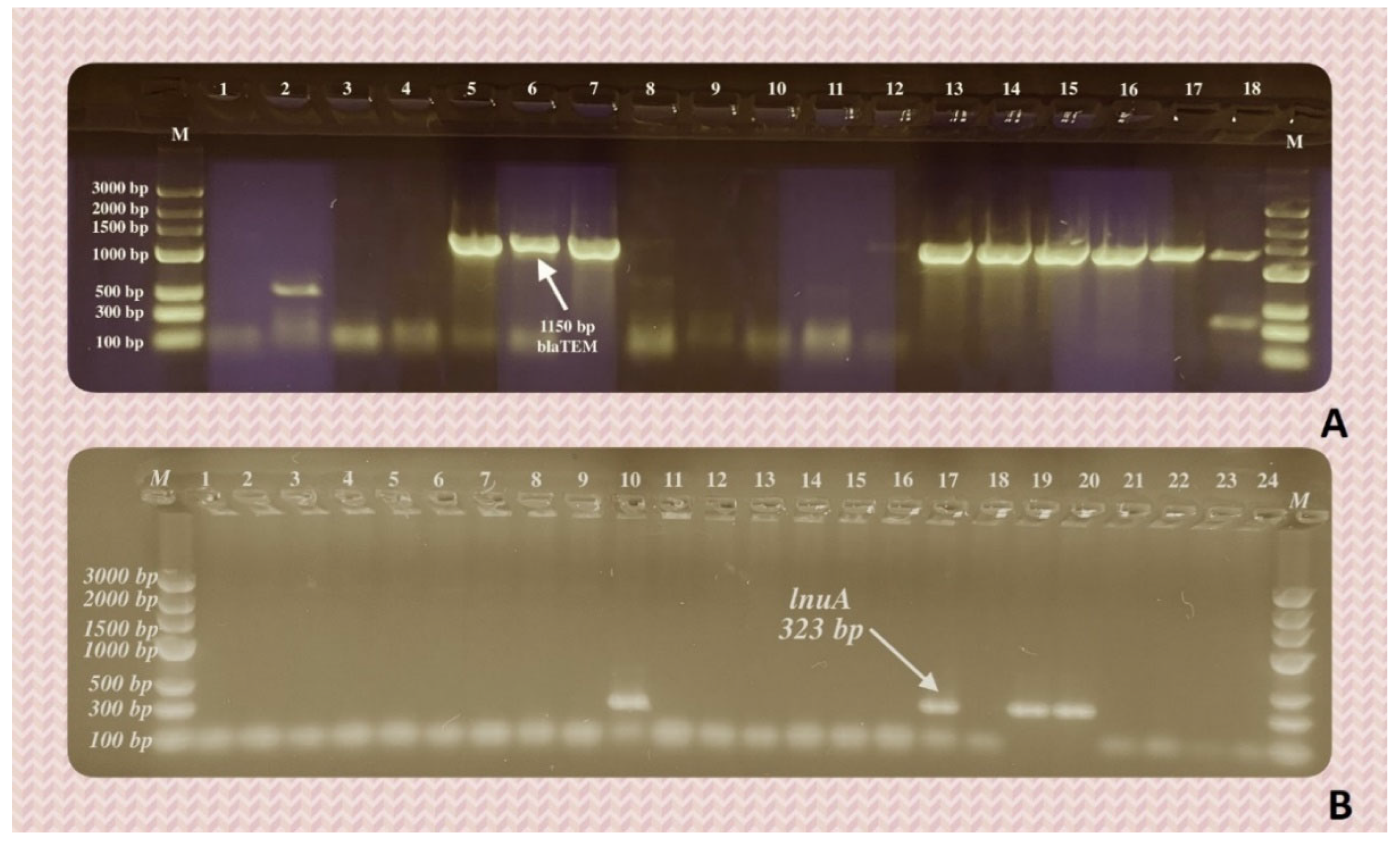 Preprints 97052 g004