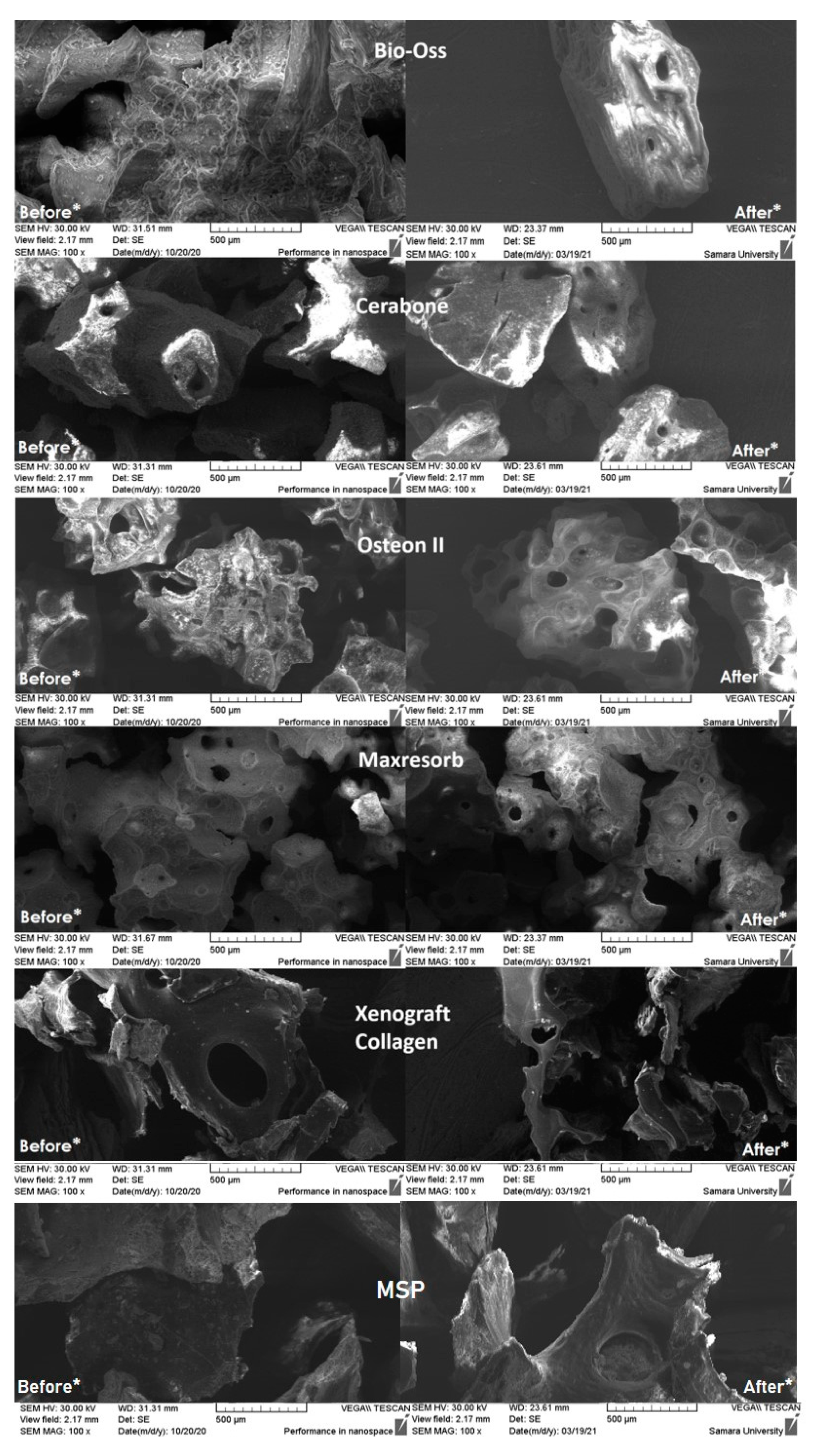 Preprints 74156 g003