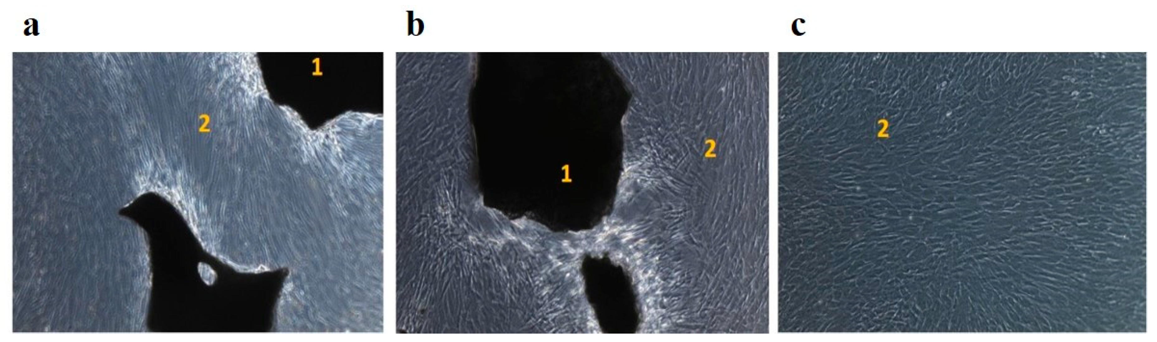 Preprints 74156 g004