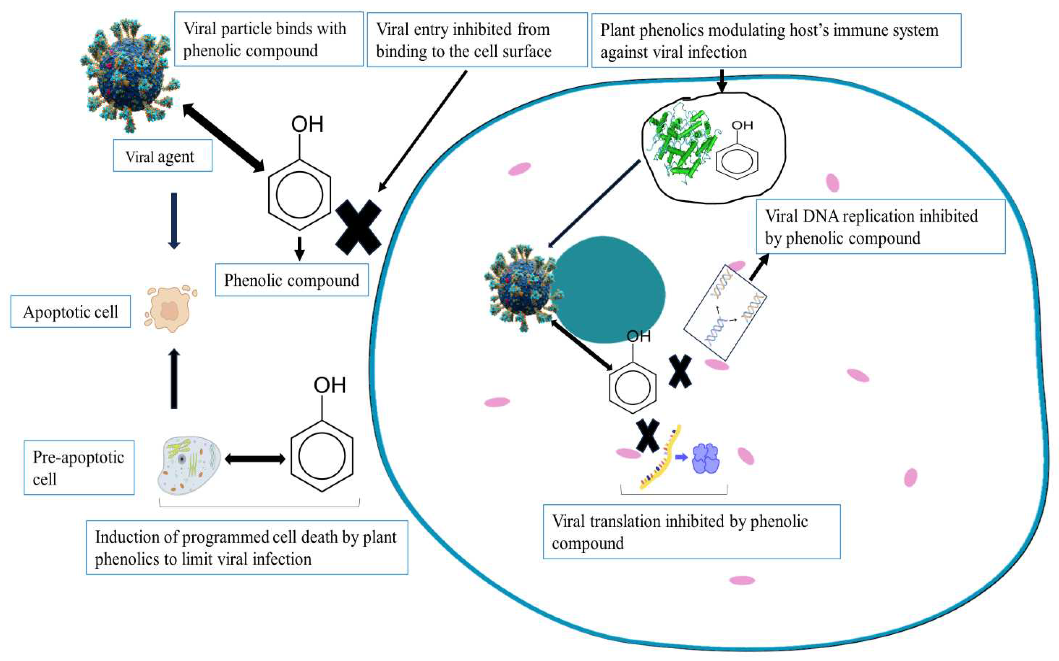 Preprints 93193 g001