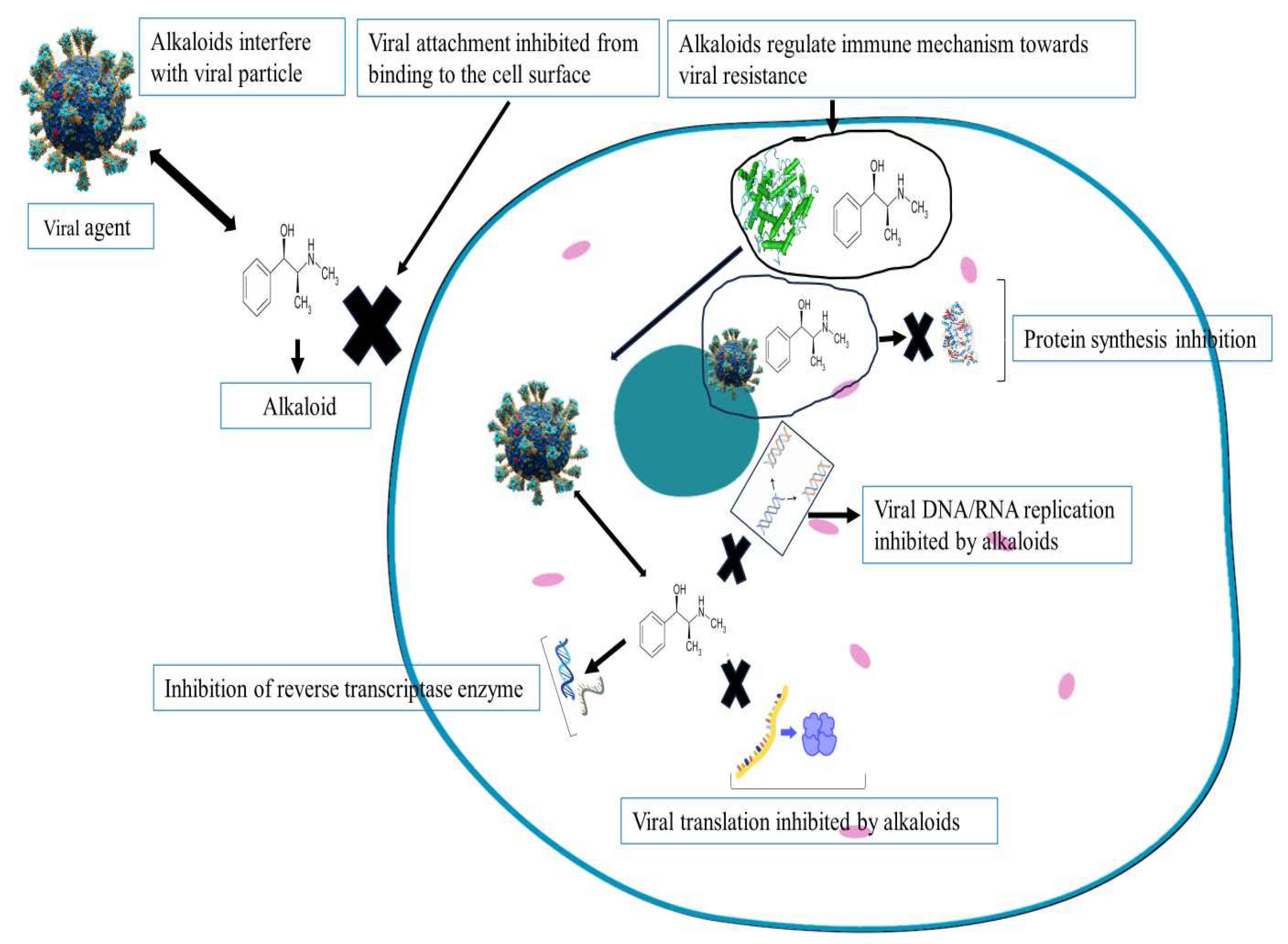 Preprints 93193 g002