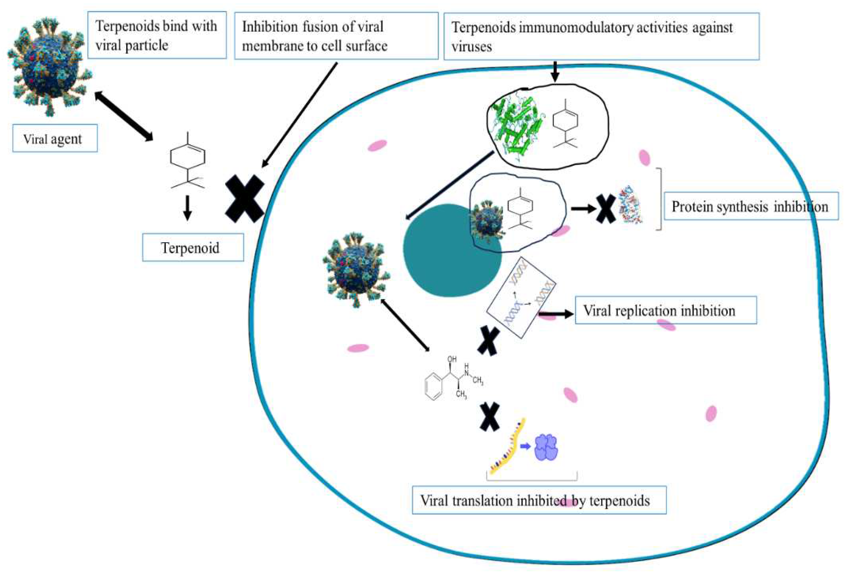 Preprints 93193 g003