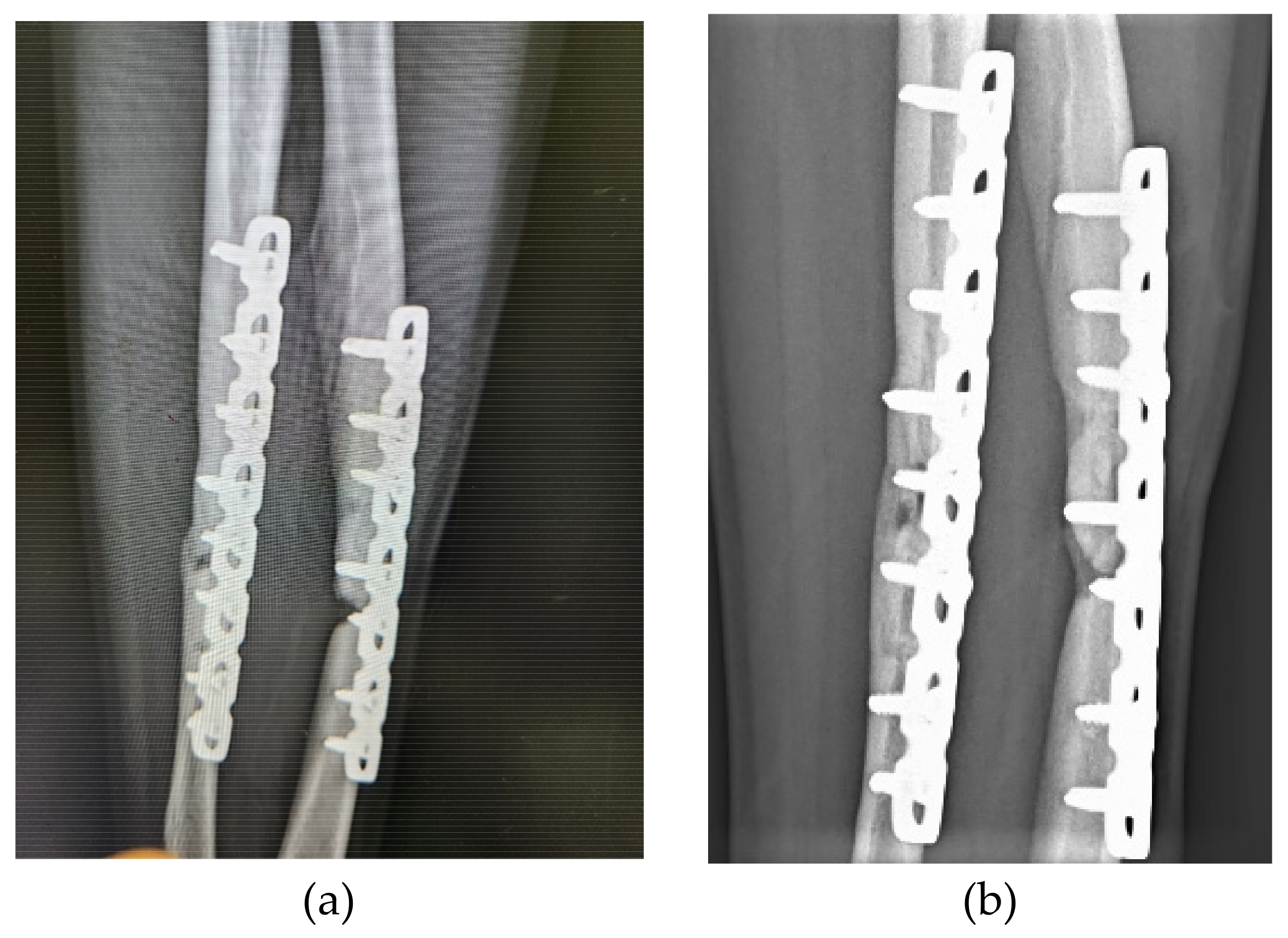 Preprints 115042 g004